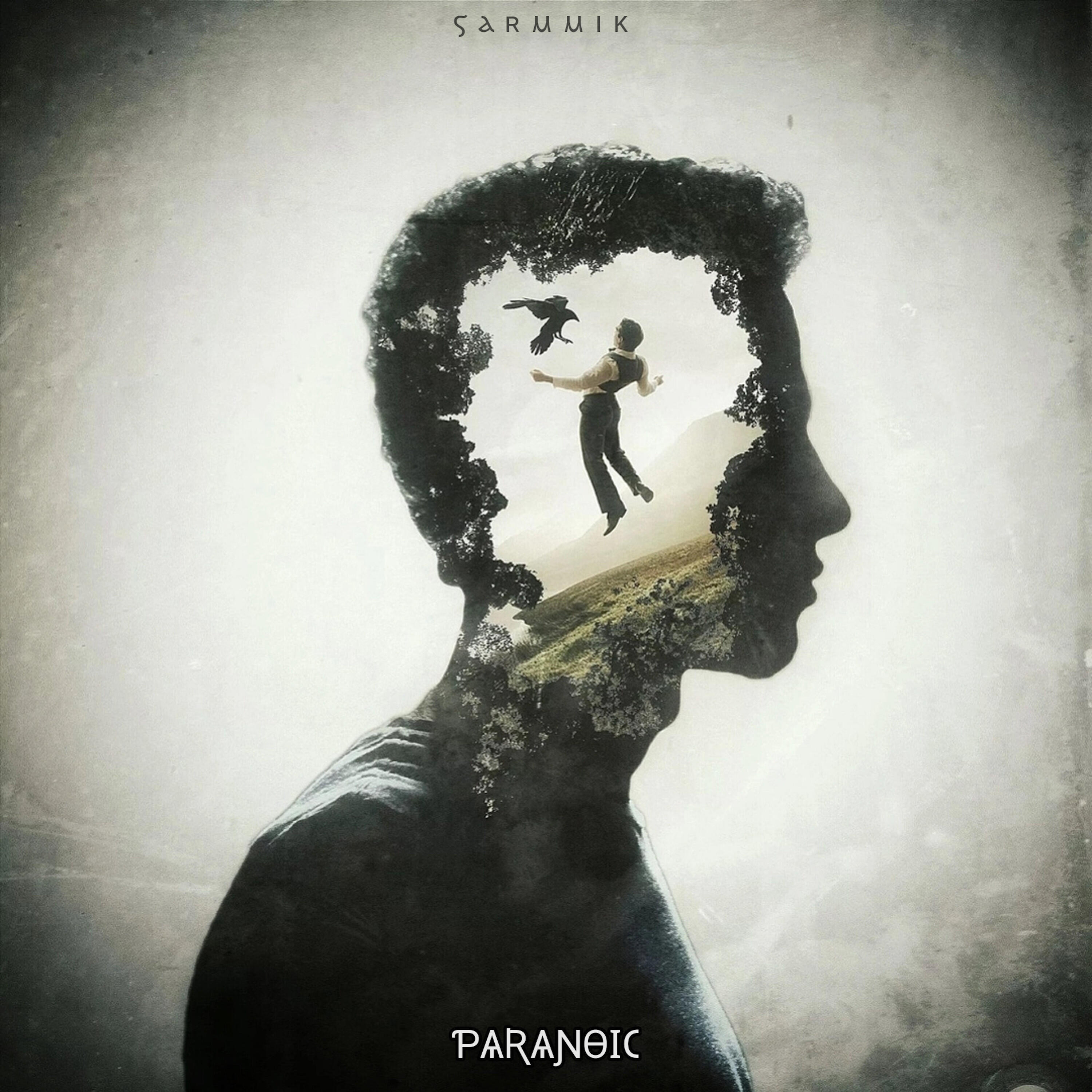 Релиз Paranoic