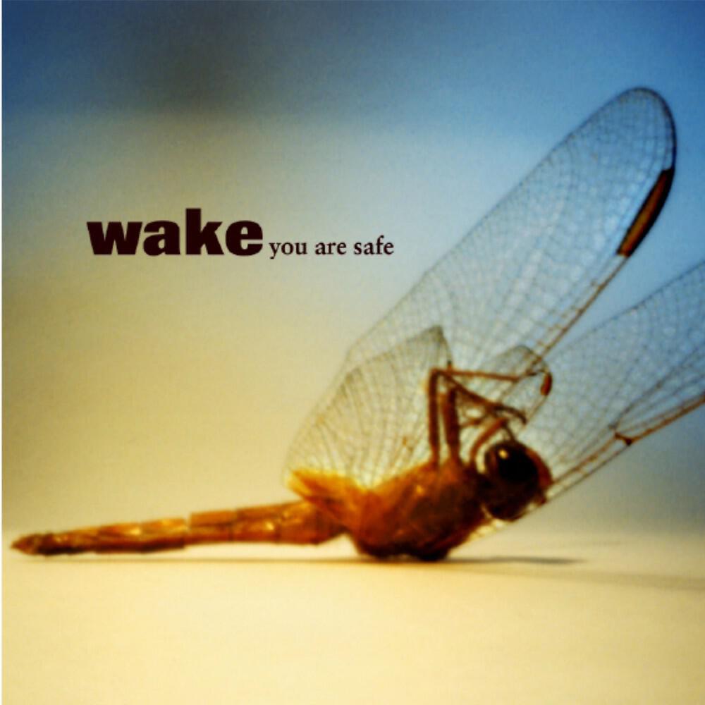 Релиз You Are Safe