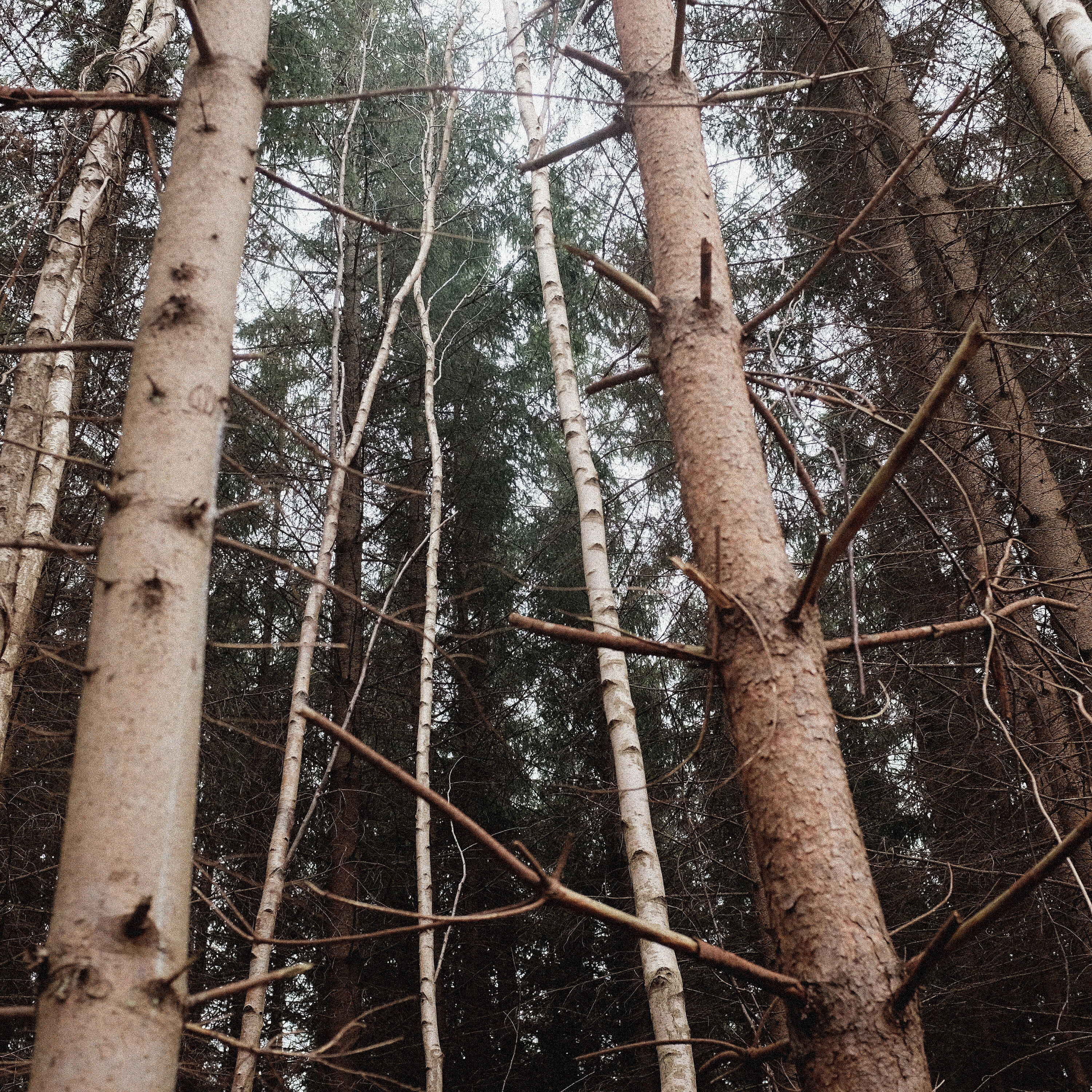 Релиз Gleam