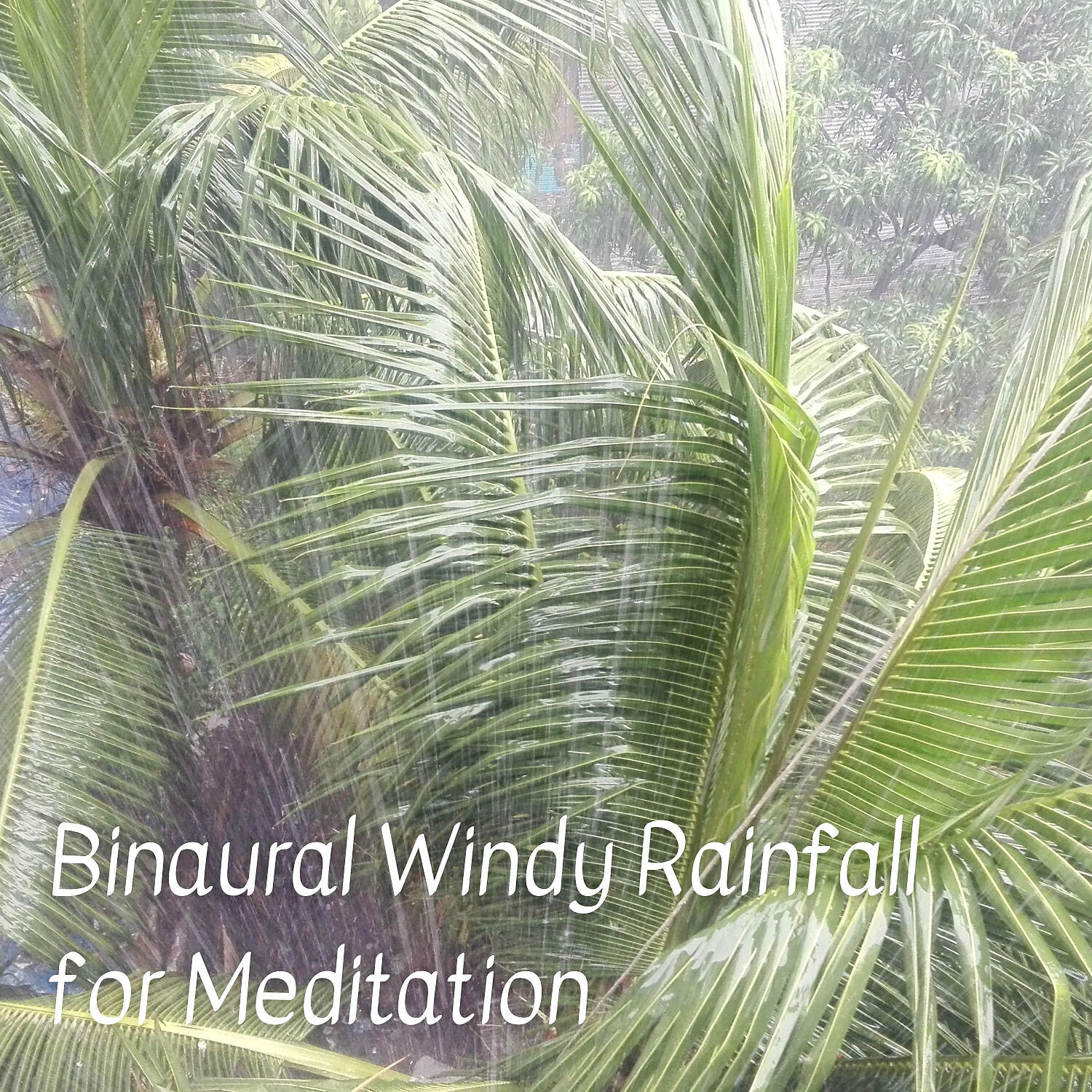 Релиз Binaural Windy Rainfall for Meditation - 1 Hour