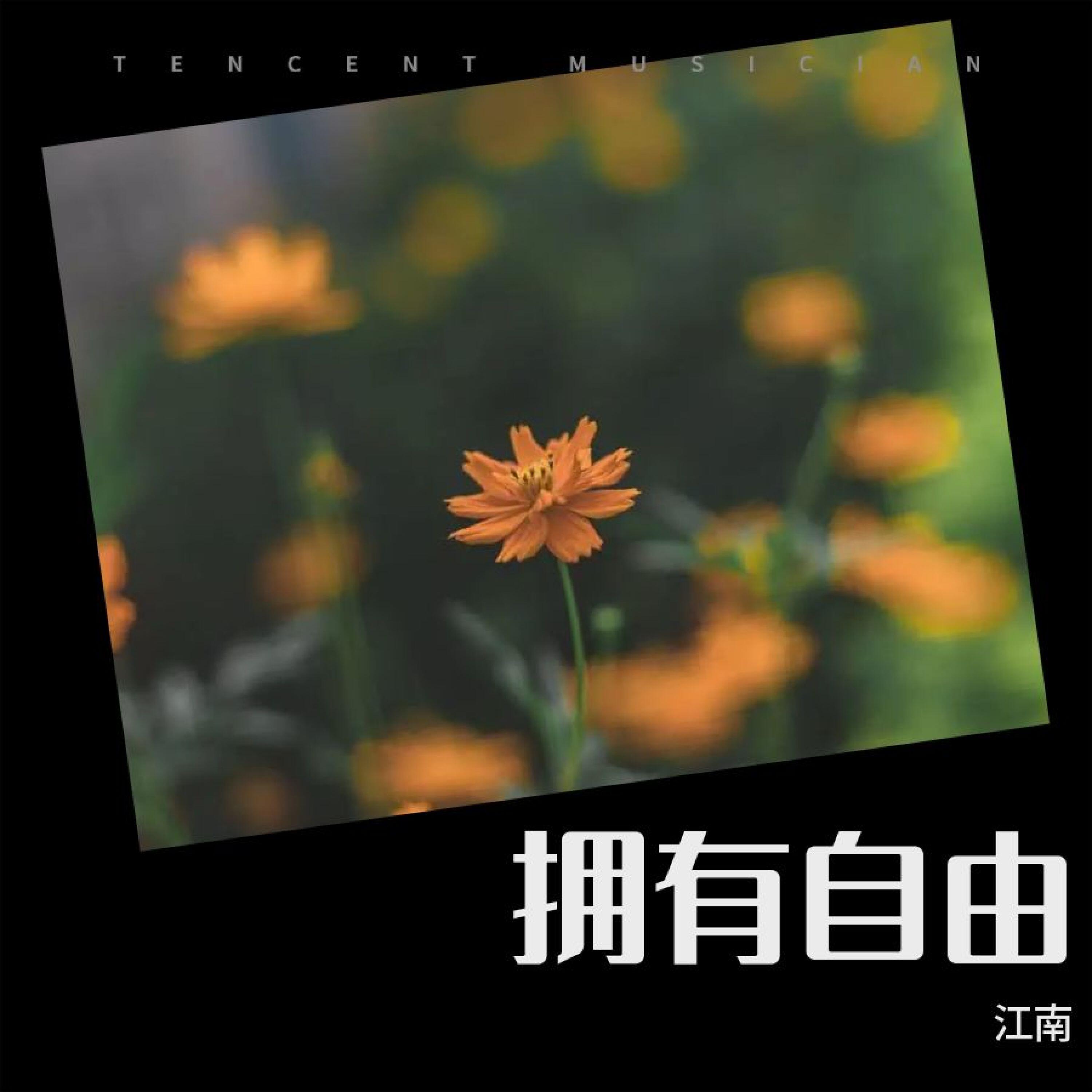 Релиз 拥有自由