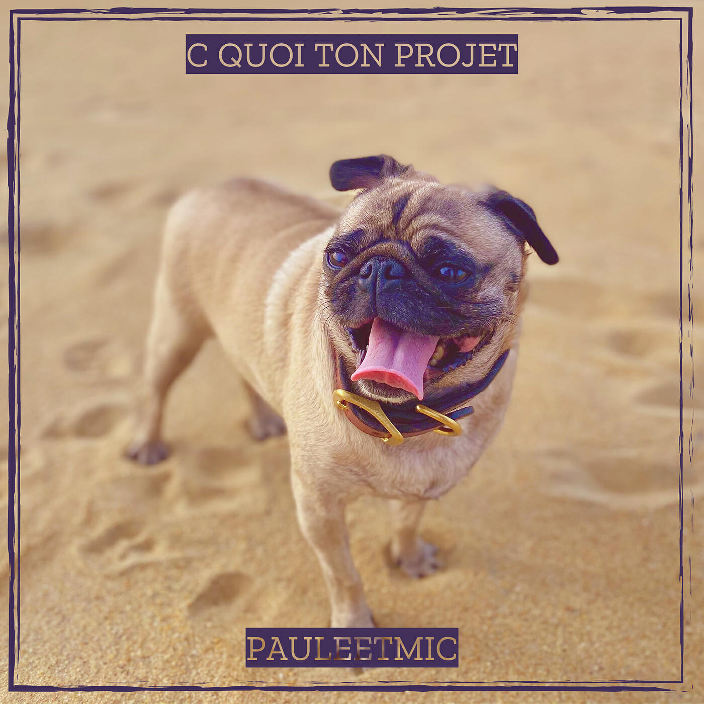 Pauleetmic