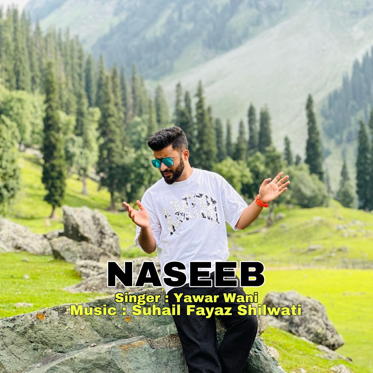 Релиз Naseeb