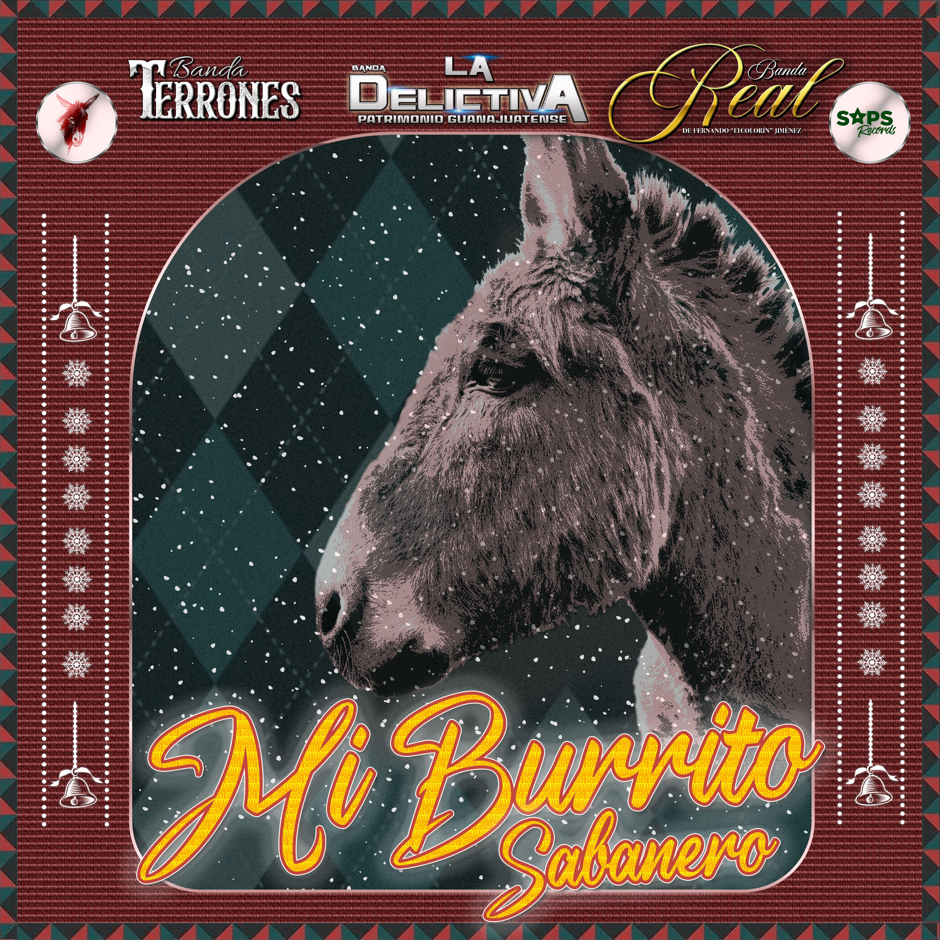 BANDA LA DELICTIVA PATRIMONIO GUANAJUATENSE