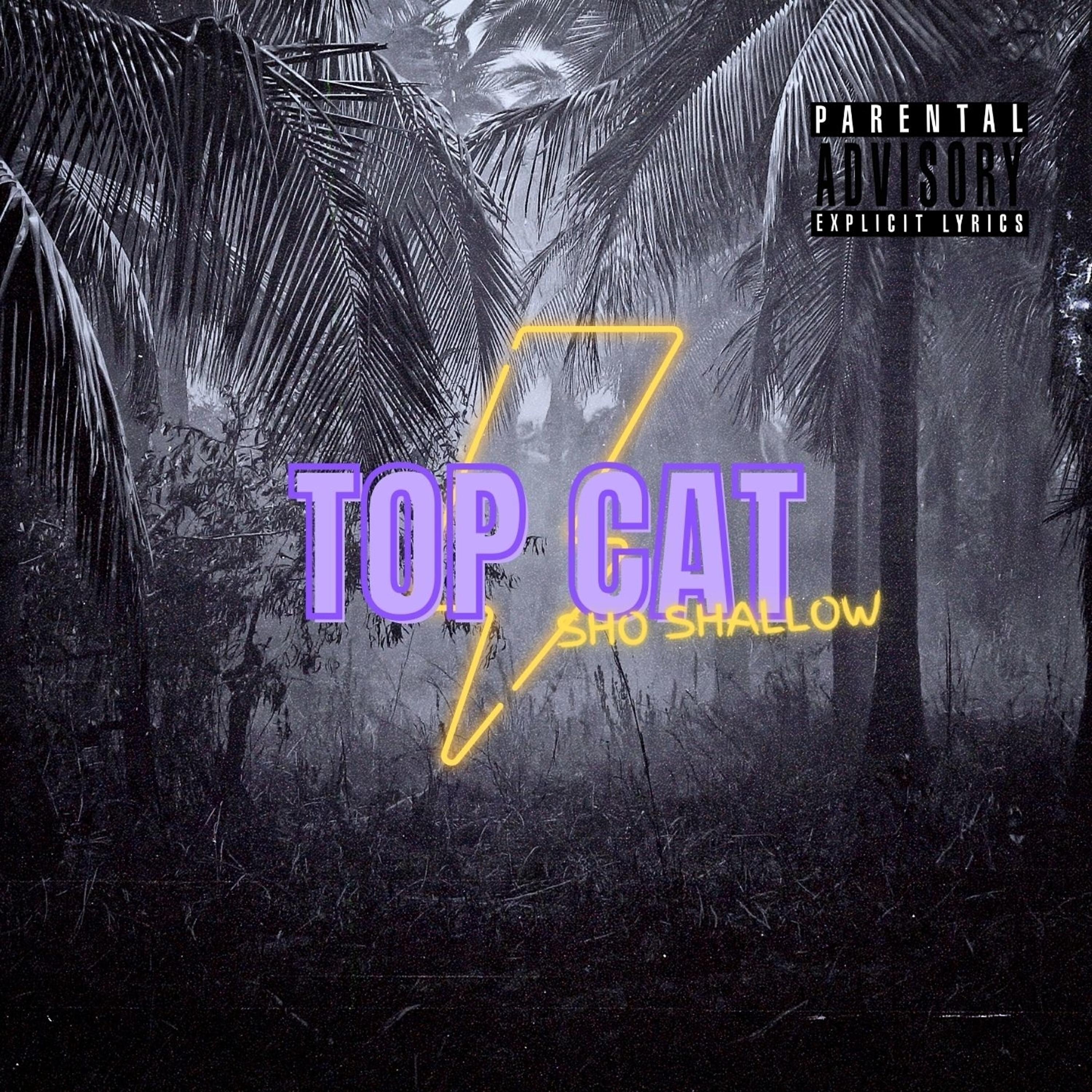 Релиз Top Cat