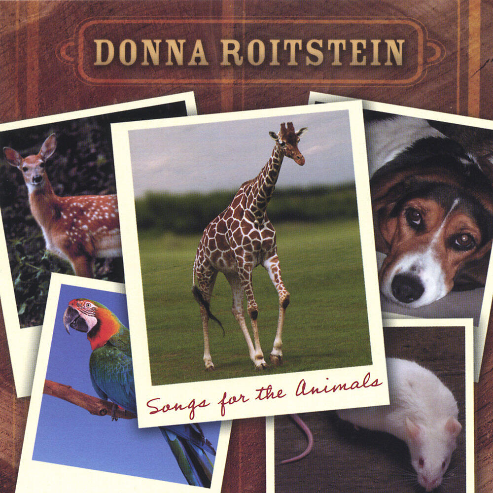 Donna Roitstein