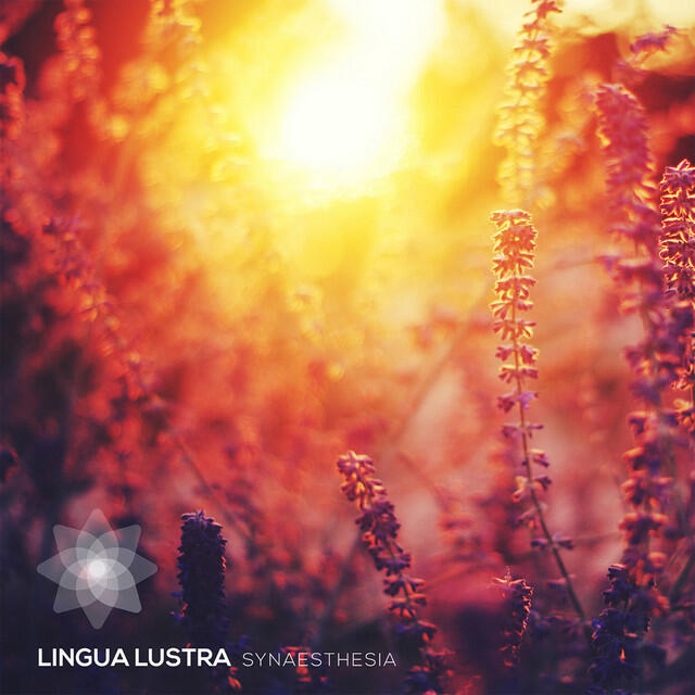 Релиз Synaesthesia (Studio version)