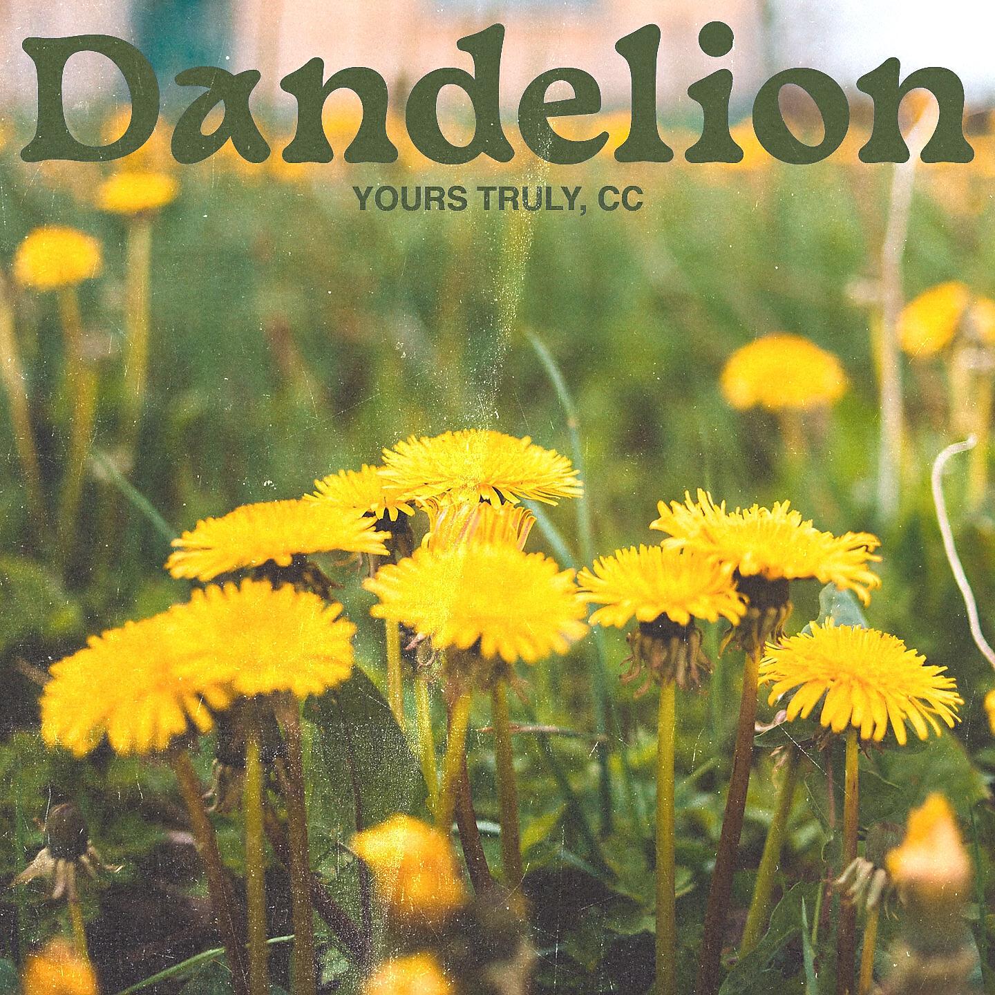 Релиз Dandelion