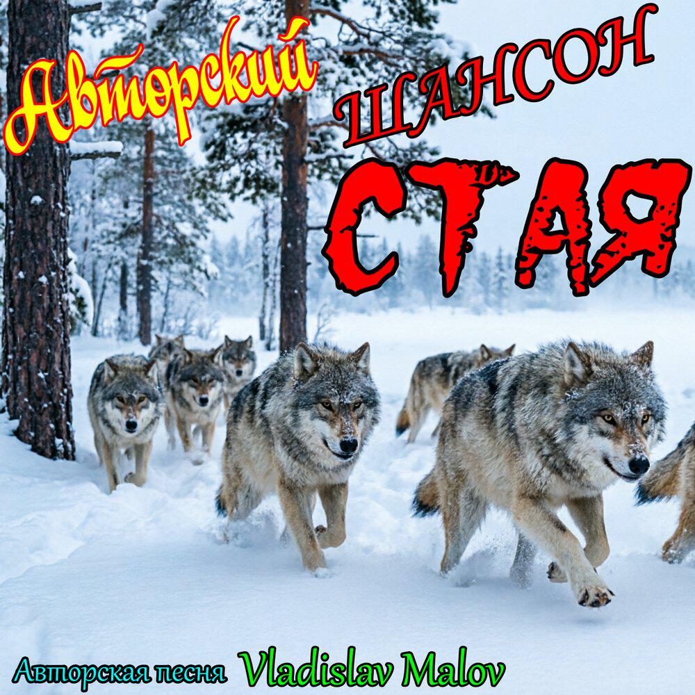 Релиз Стая