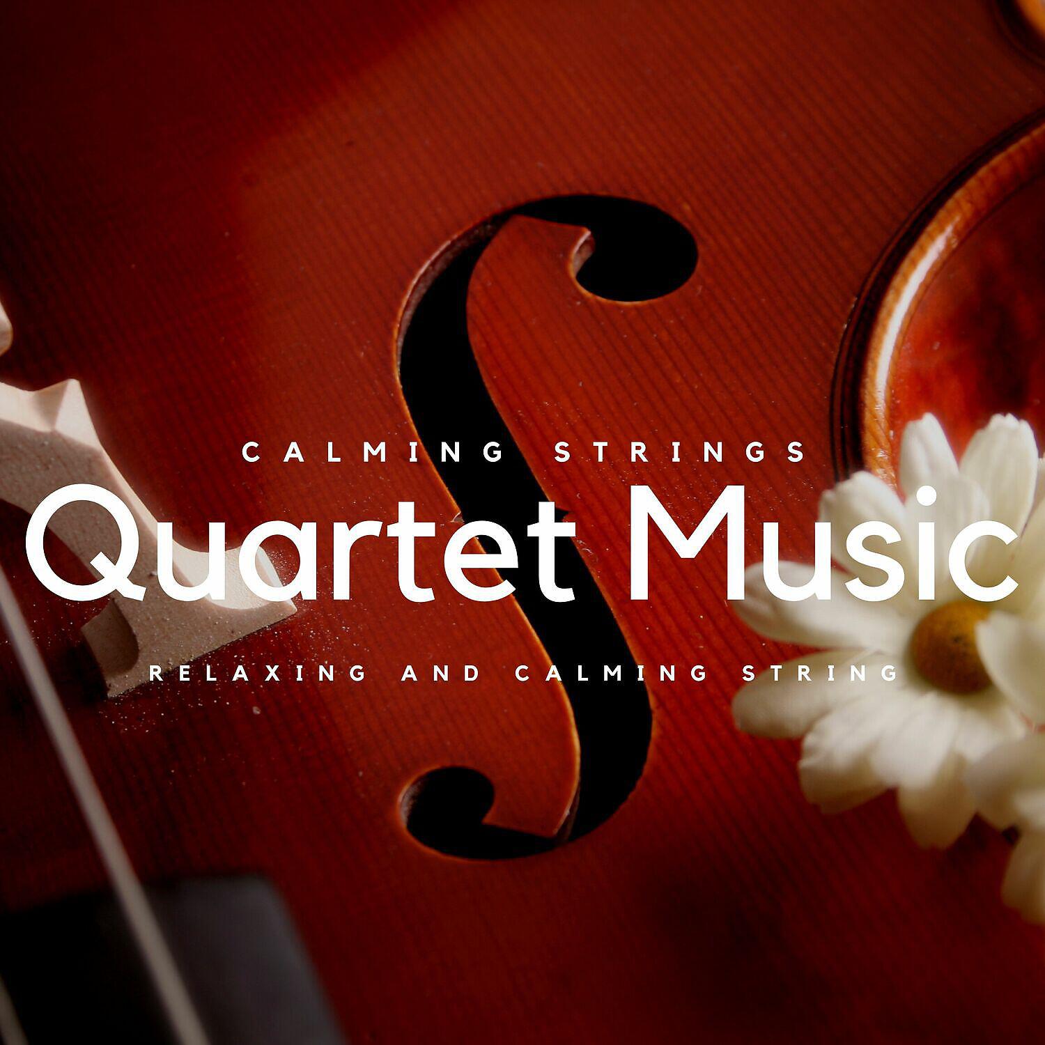 Релиз Relaxing and Calming String Quartet Music