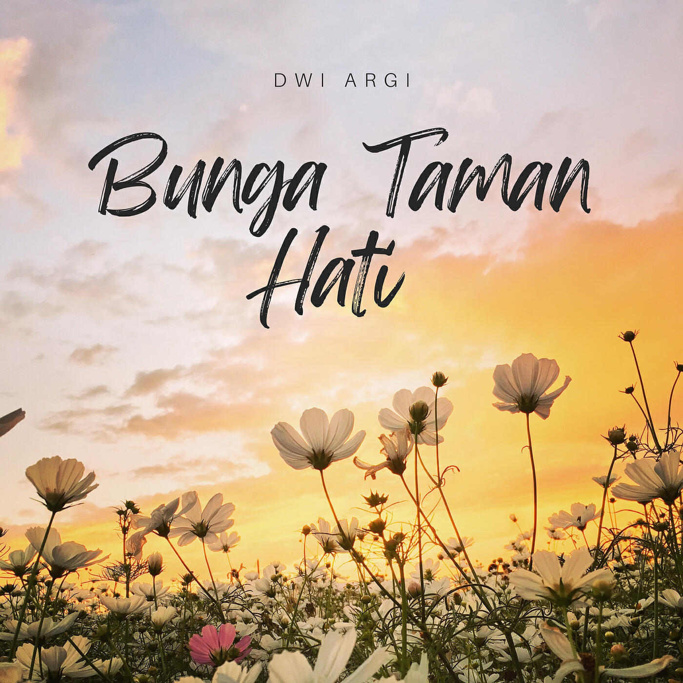 Dwi Argi