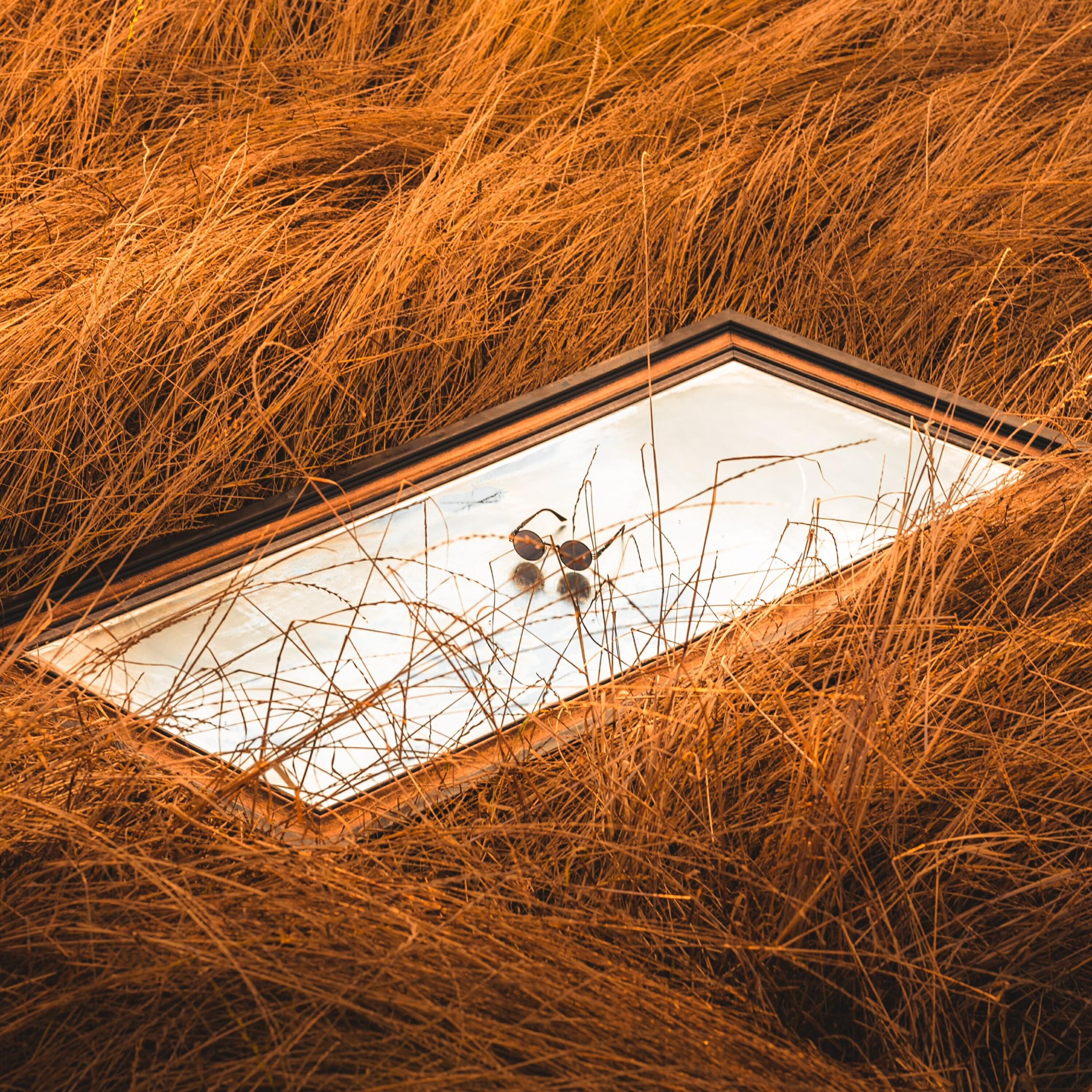 Релиз Disillusioned