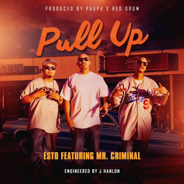 Постер альбома Pull Up (feat. Mr. Criminal)