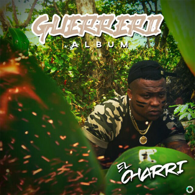 Релиз Guerrero