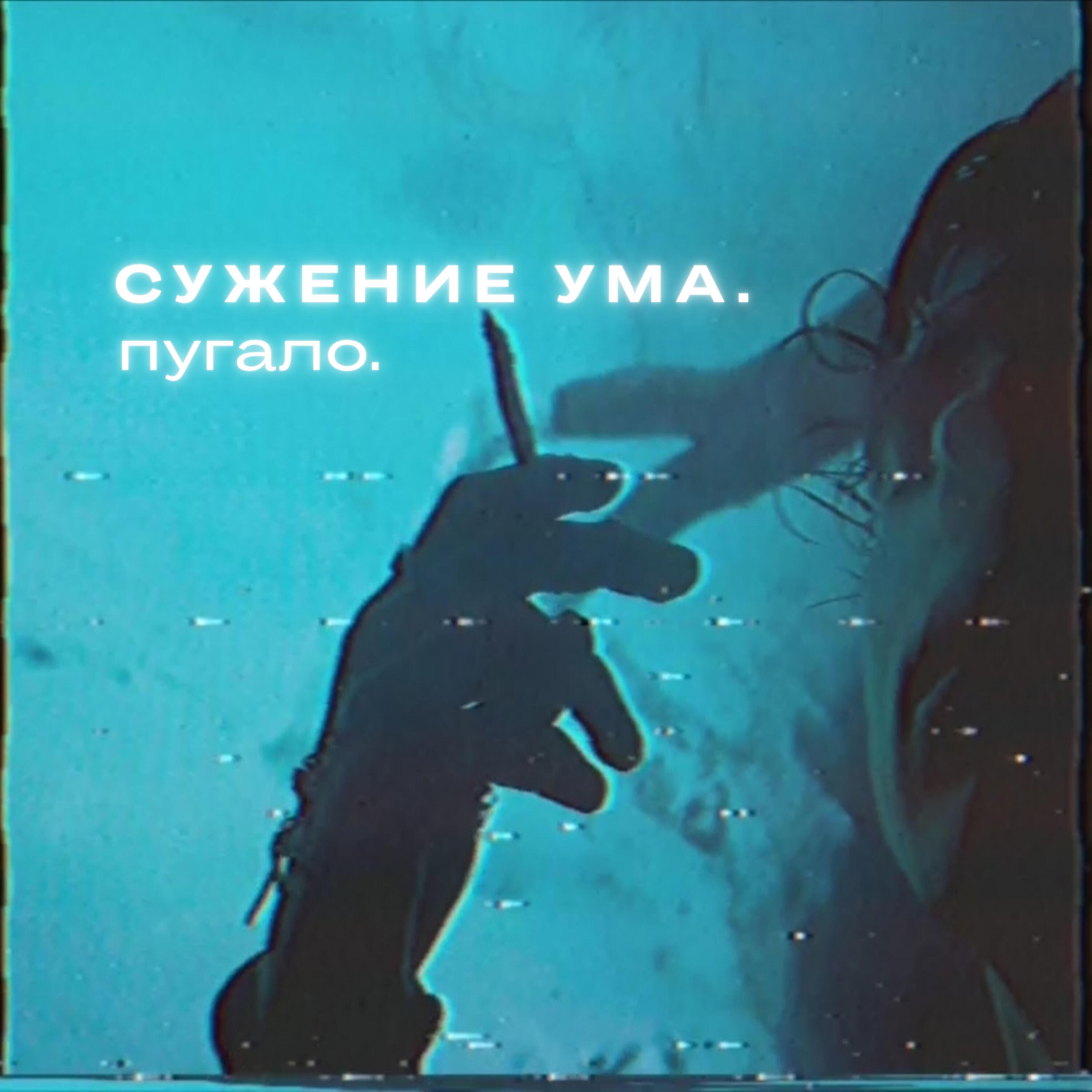 Постер альбома Пугало.