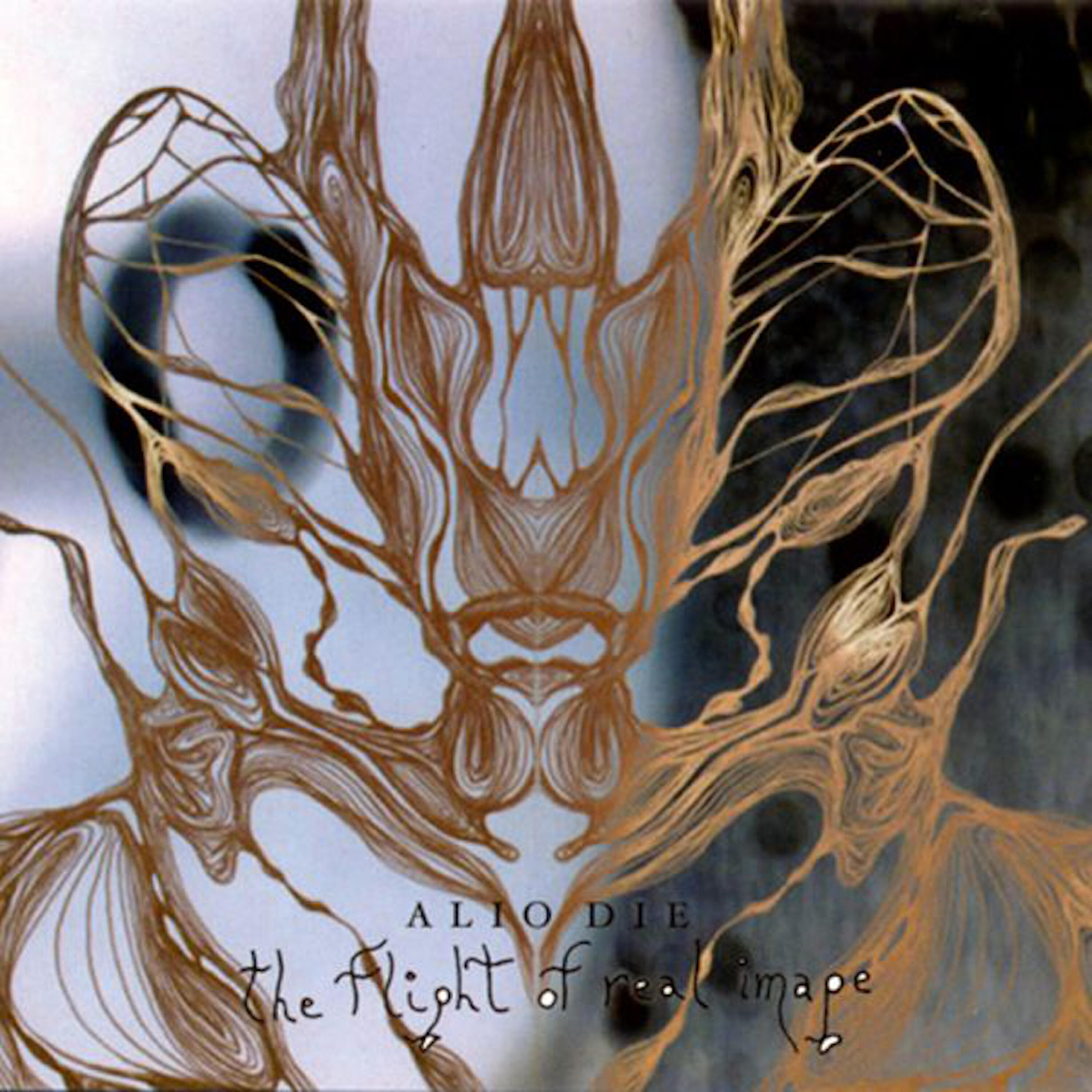 Релиз The Flight of Real Image