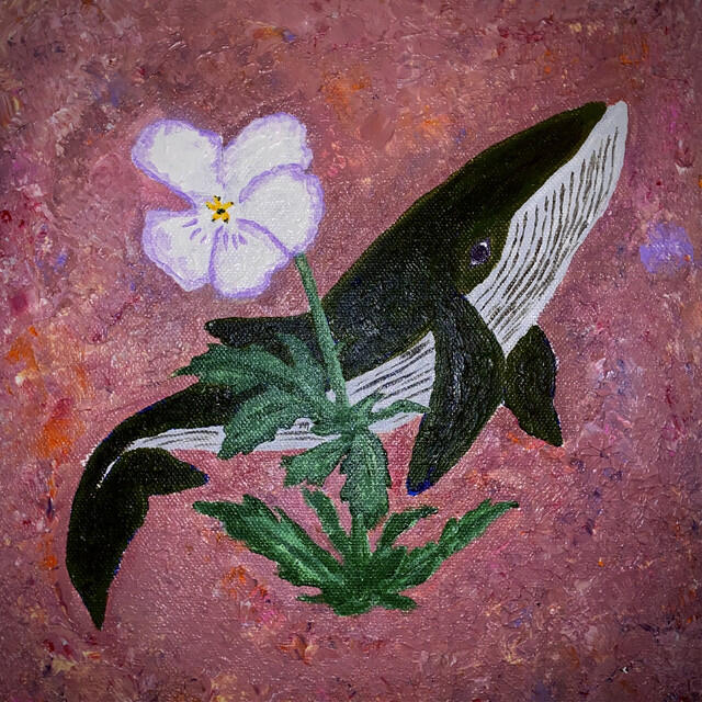 Релиз White Pansy