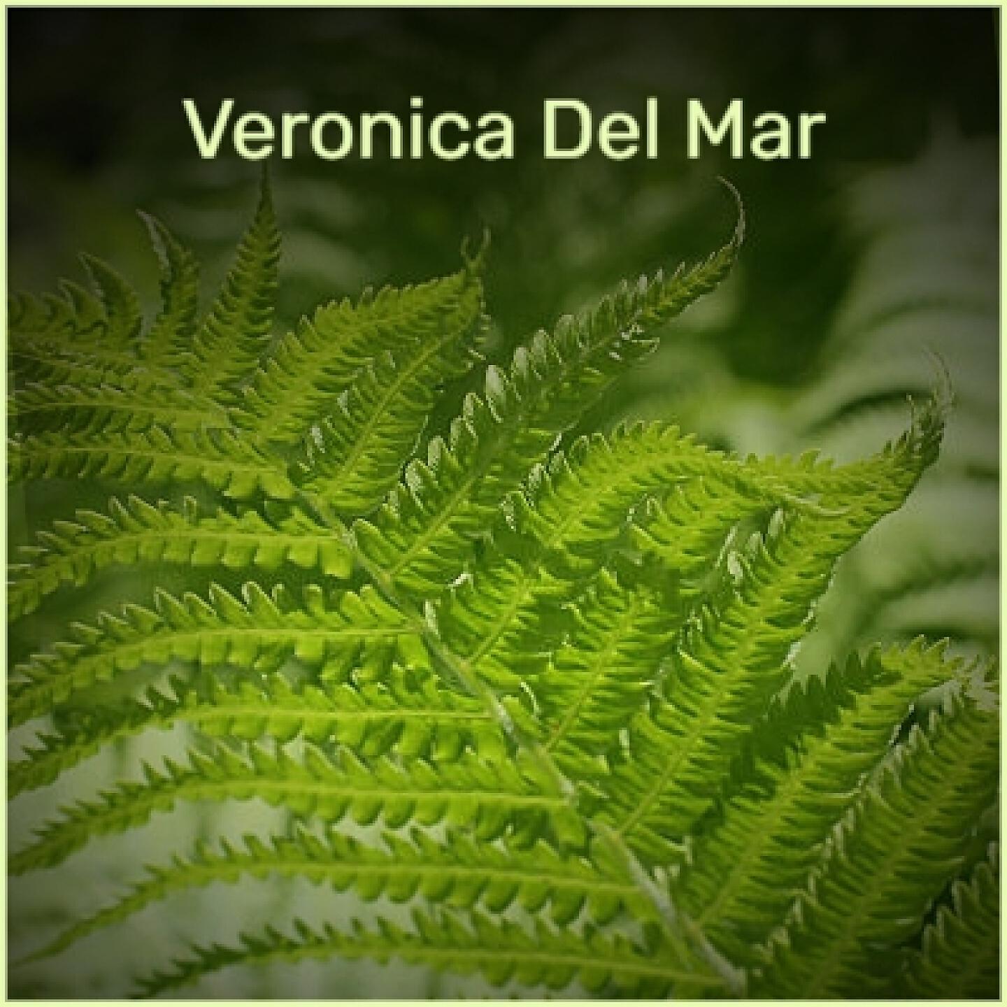 Релиз Veronica Del Mar