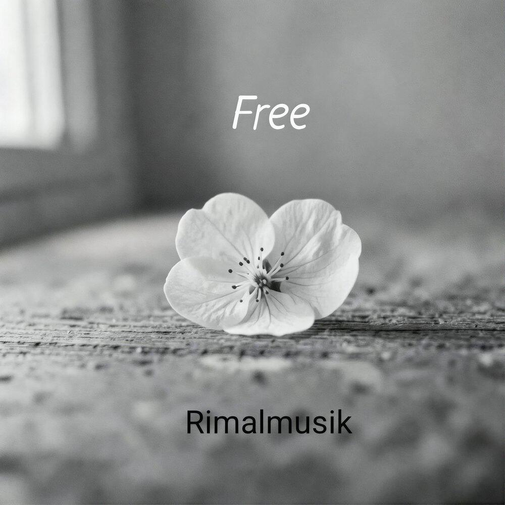 Релиз Free