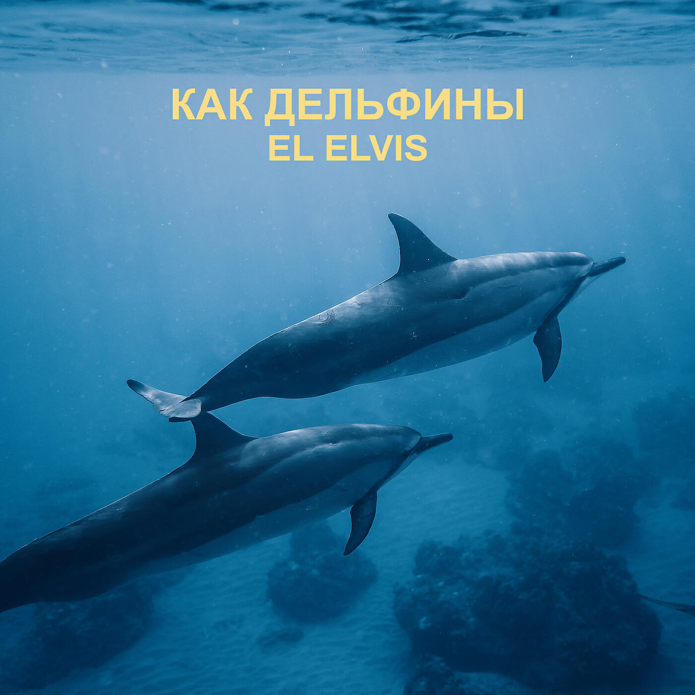 Релиз Как дельфины