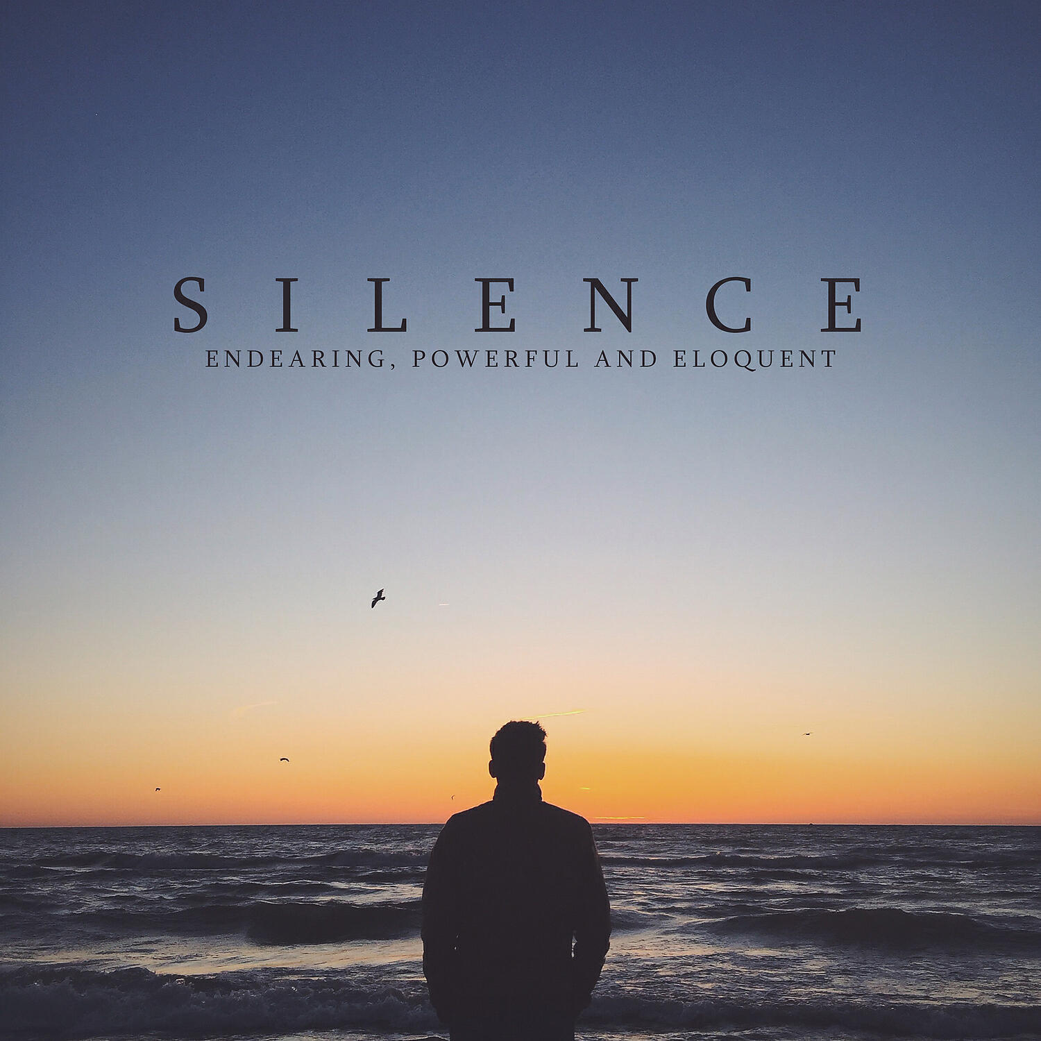 Релиз Silence: Endearing, Powerful and Eloquent