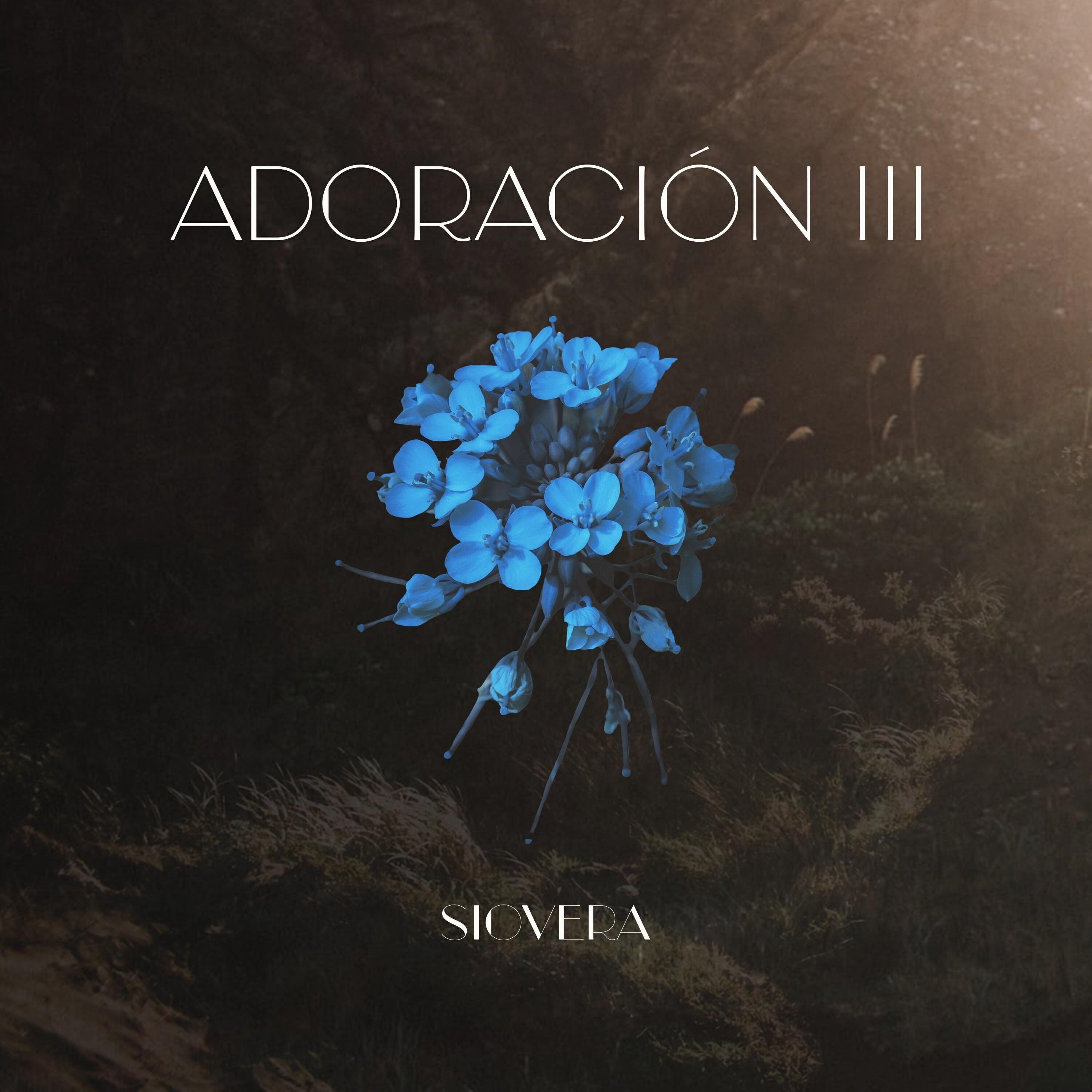 Релиз Adoración III