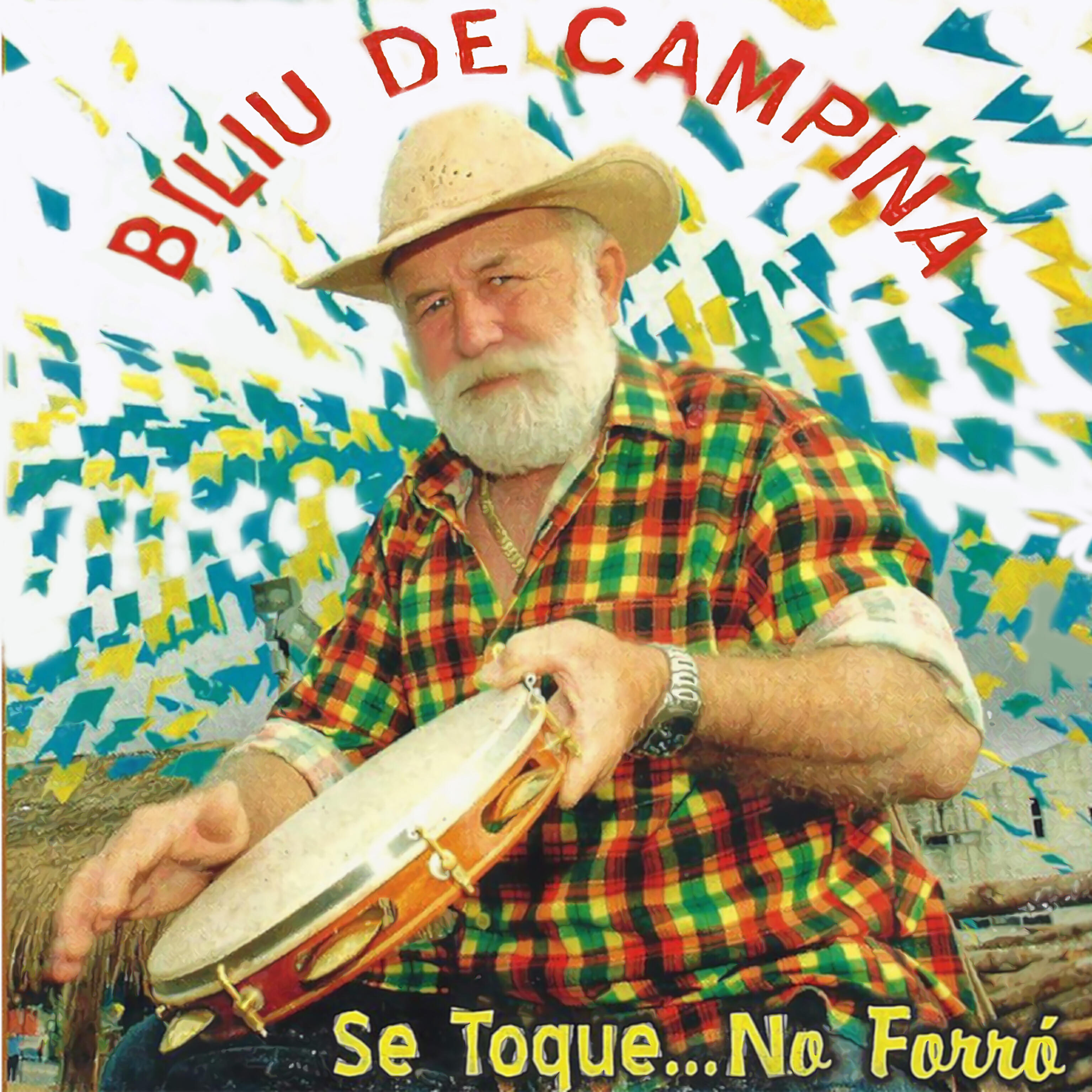 Релиз Se Toque no Forró