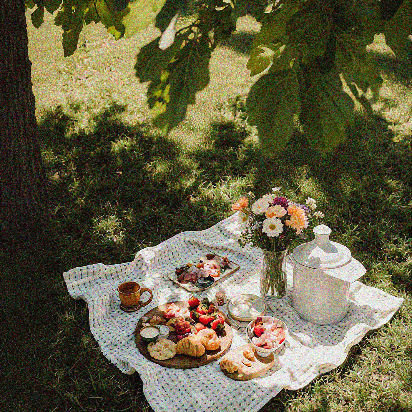 Релиз Summer Picnic