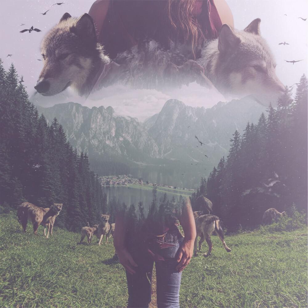 Релиз Chime Whisper