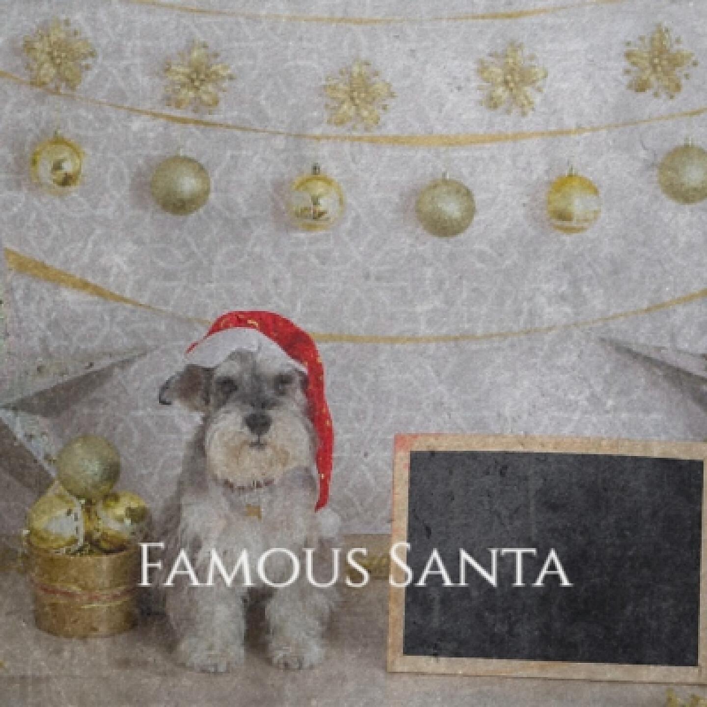 Релиз Famous Santa