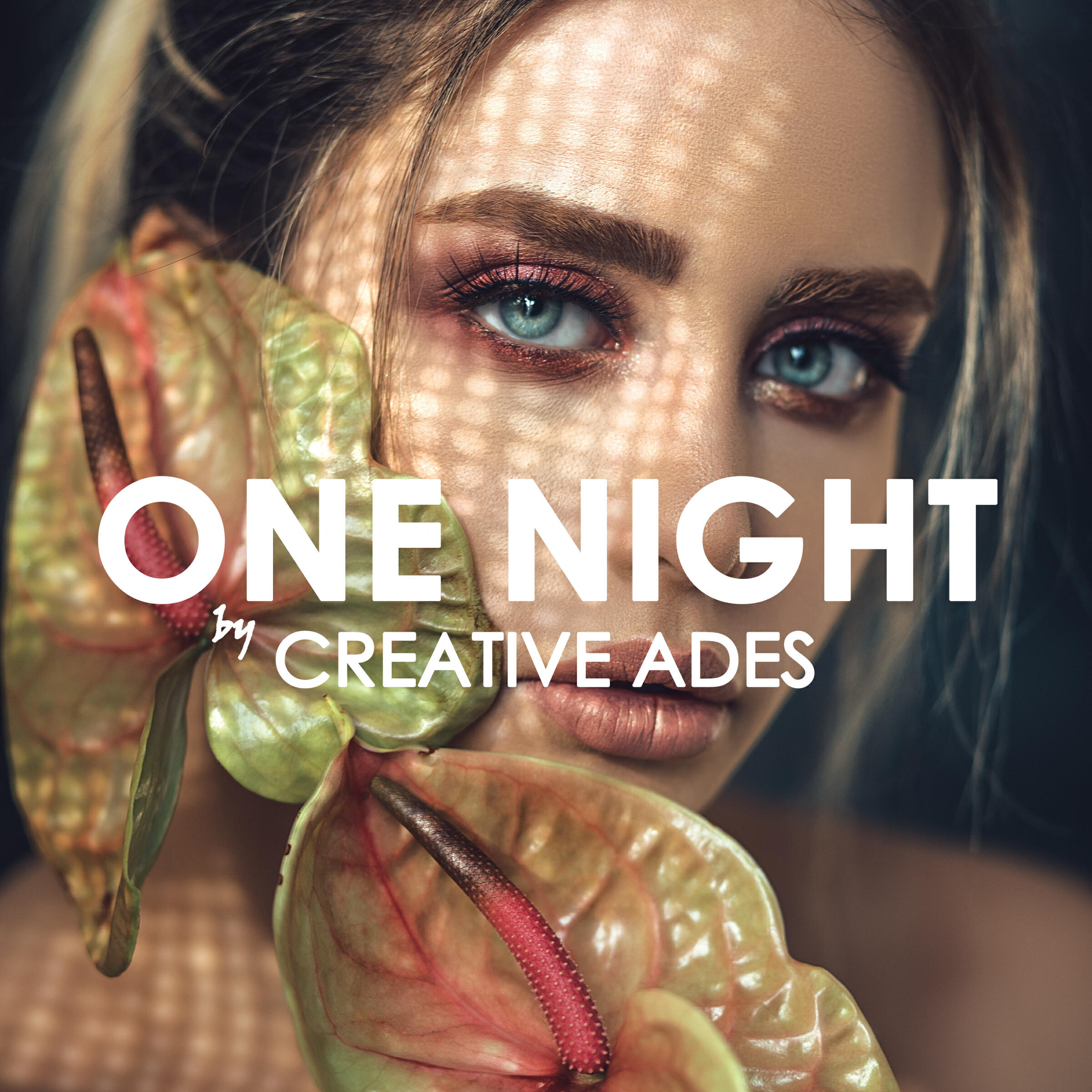 Релиз One Night