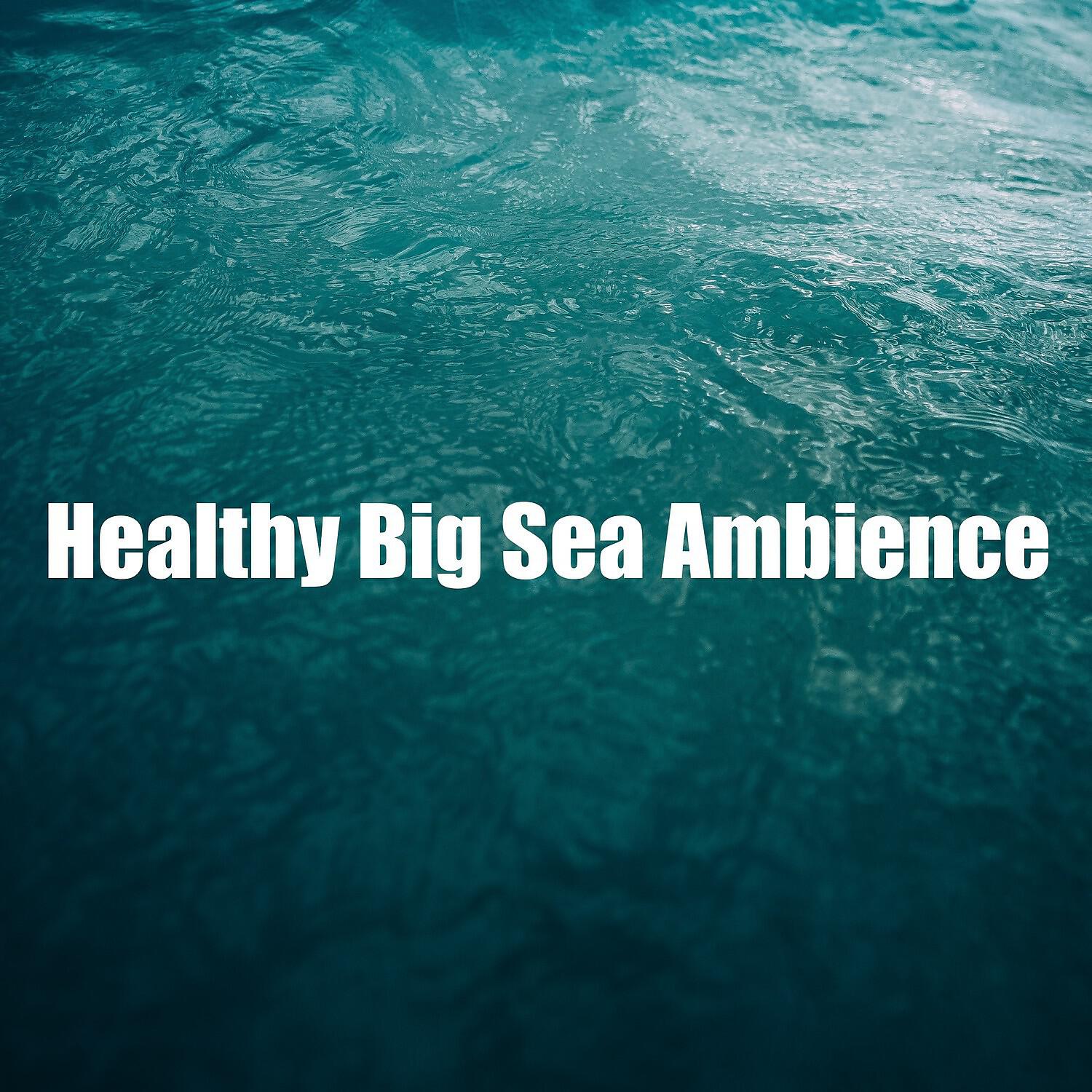 Релиз Healthy Big Sea Ambience
