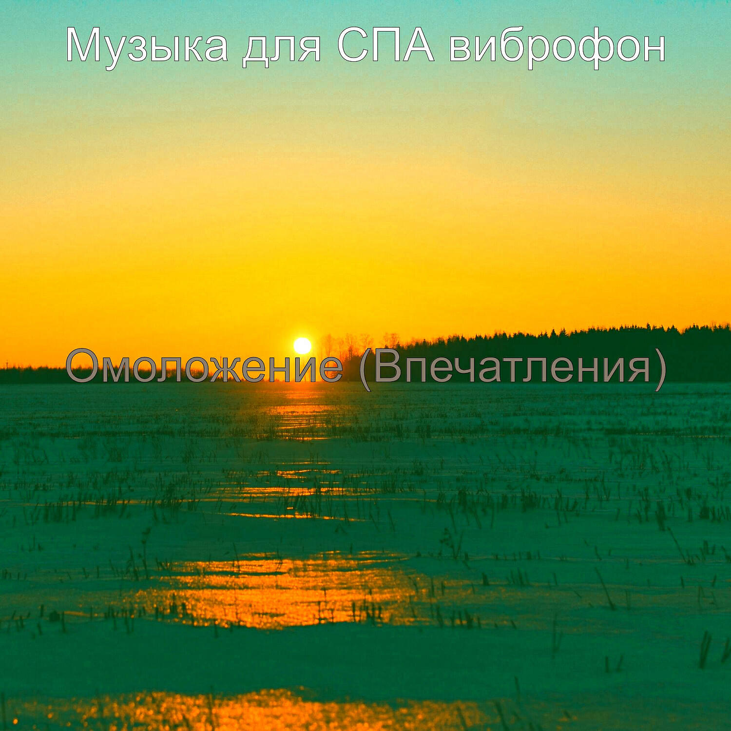 Постер альбома Омоложение (Впечатления)