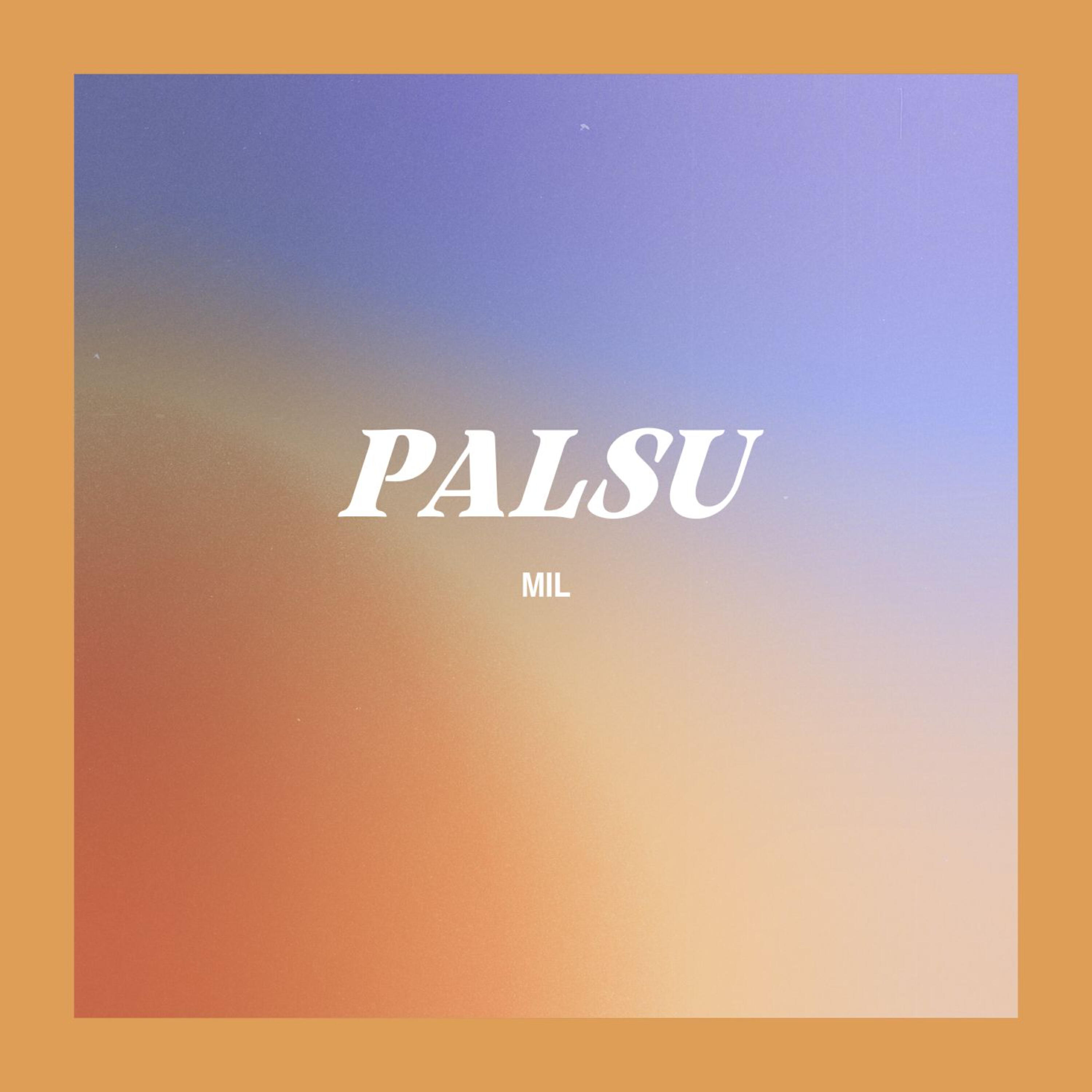 Релиз Palsu
