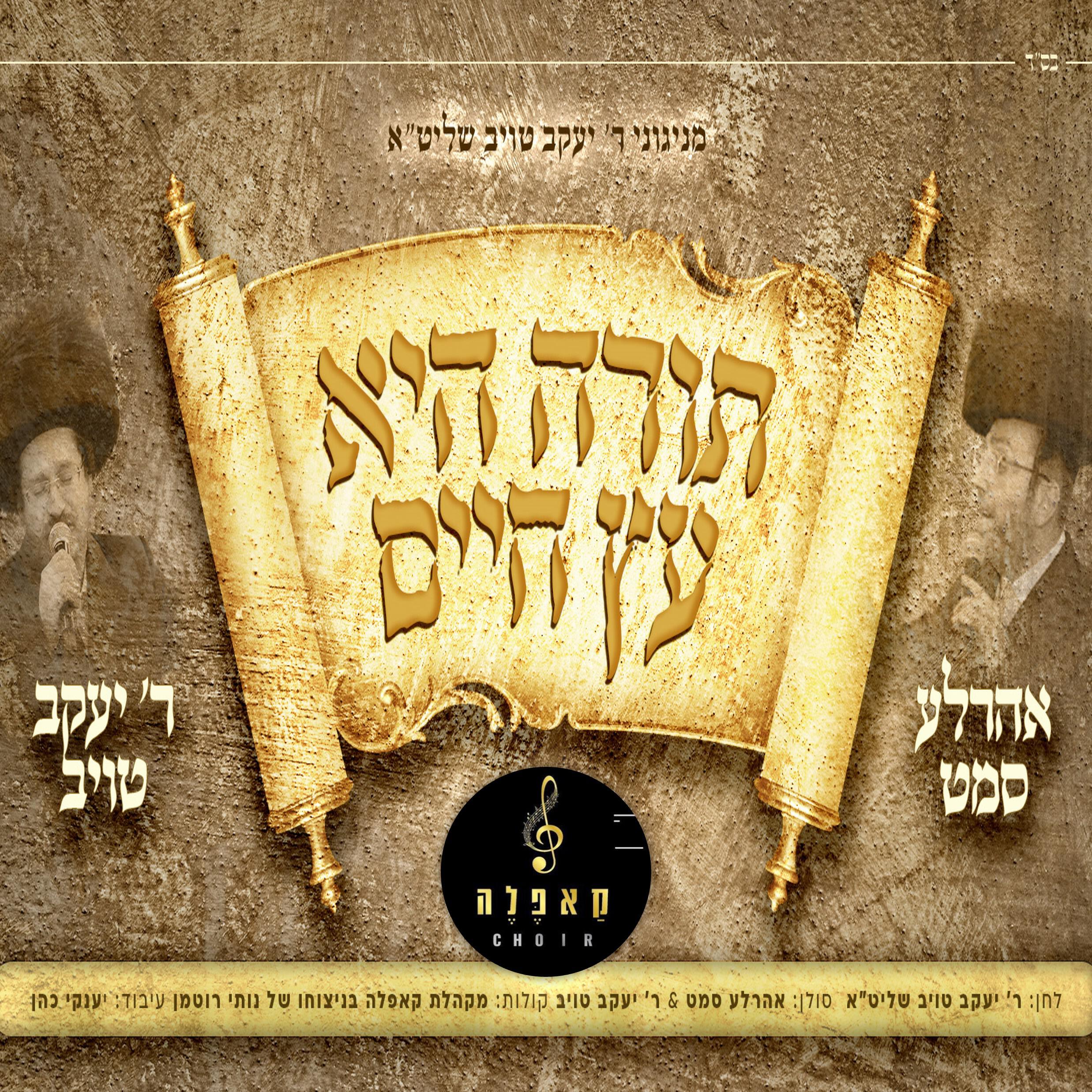 Релиз עץ חיים