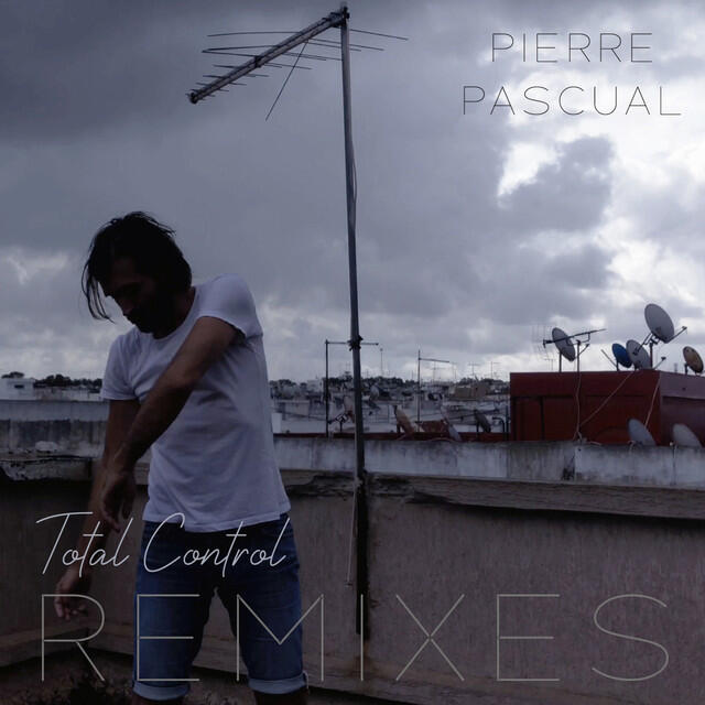 Релиз Total Control (Remixes)