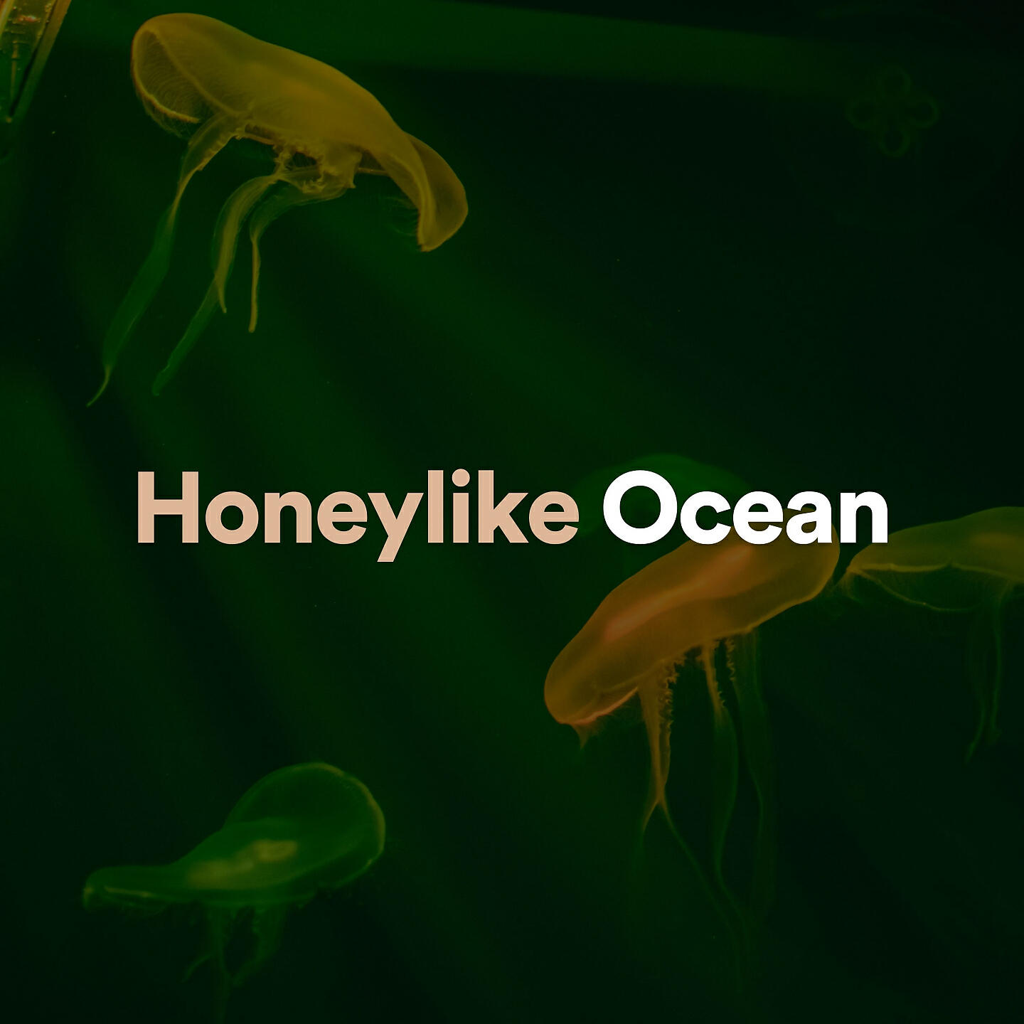 Релиз Honeylike Ocean