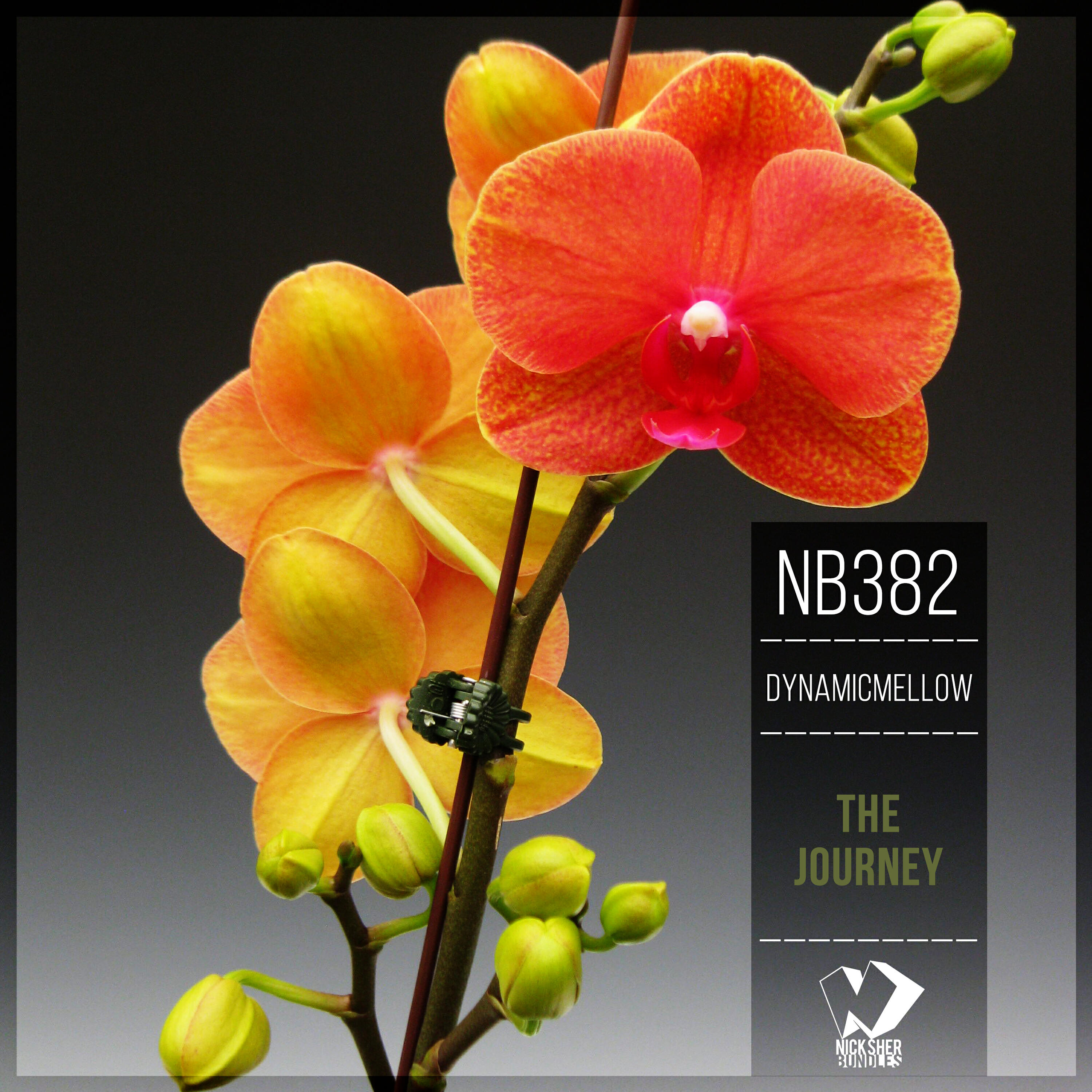 Релиз The Journey (Original Mix)