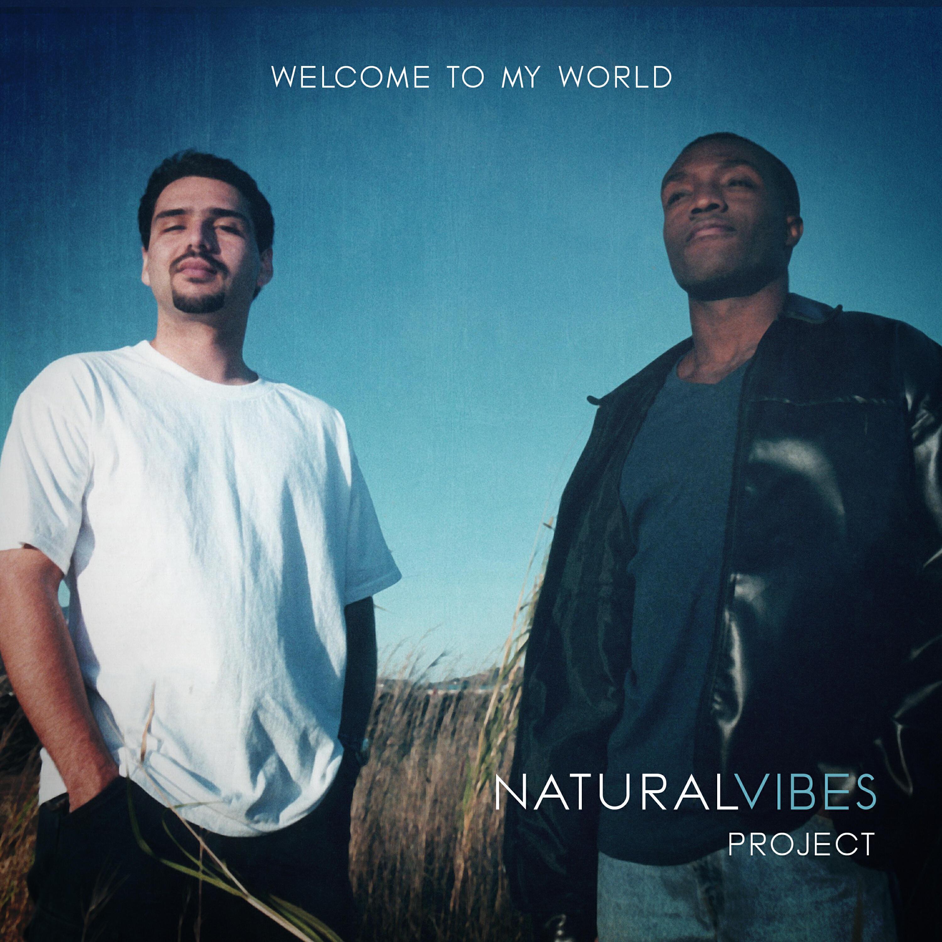 Natural Vibes Project