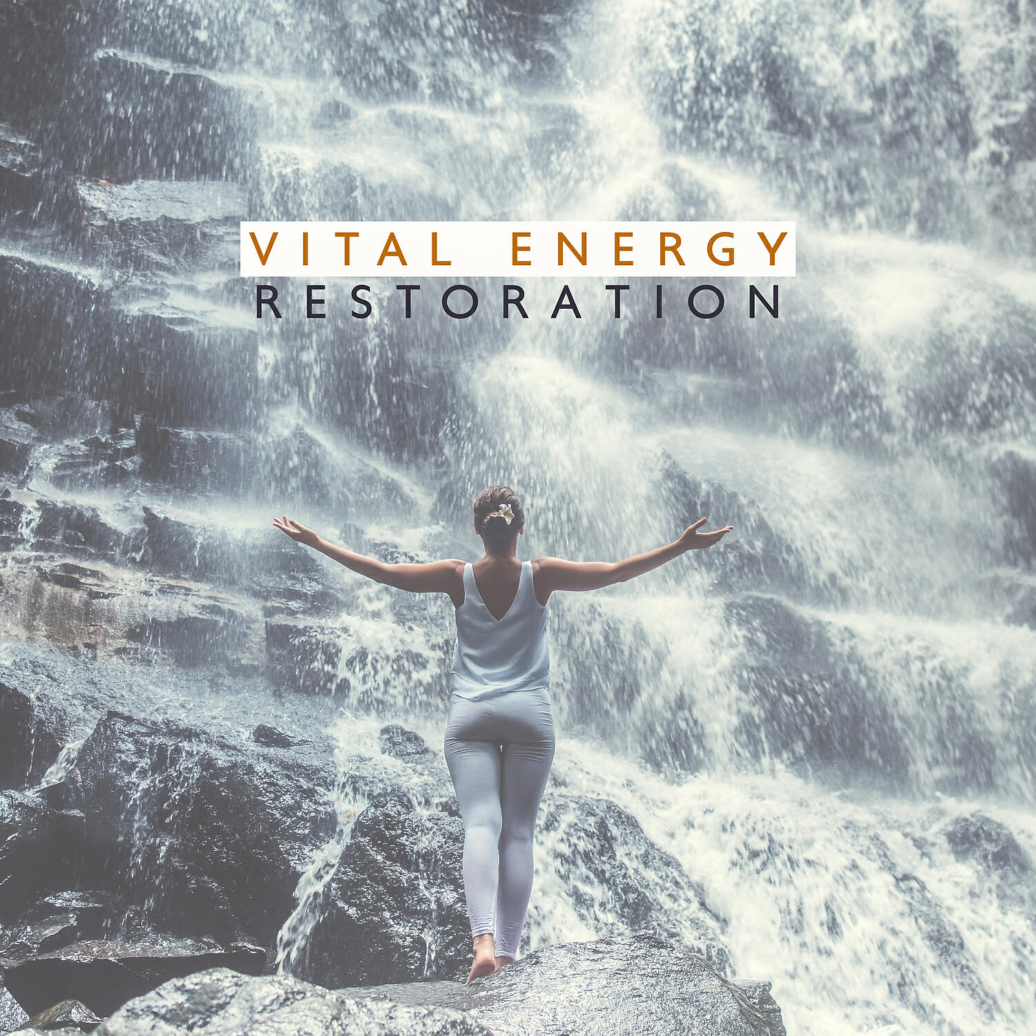 Релиз Vital Energy Restoration: Repair Aura Body