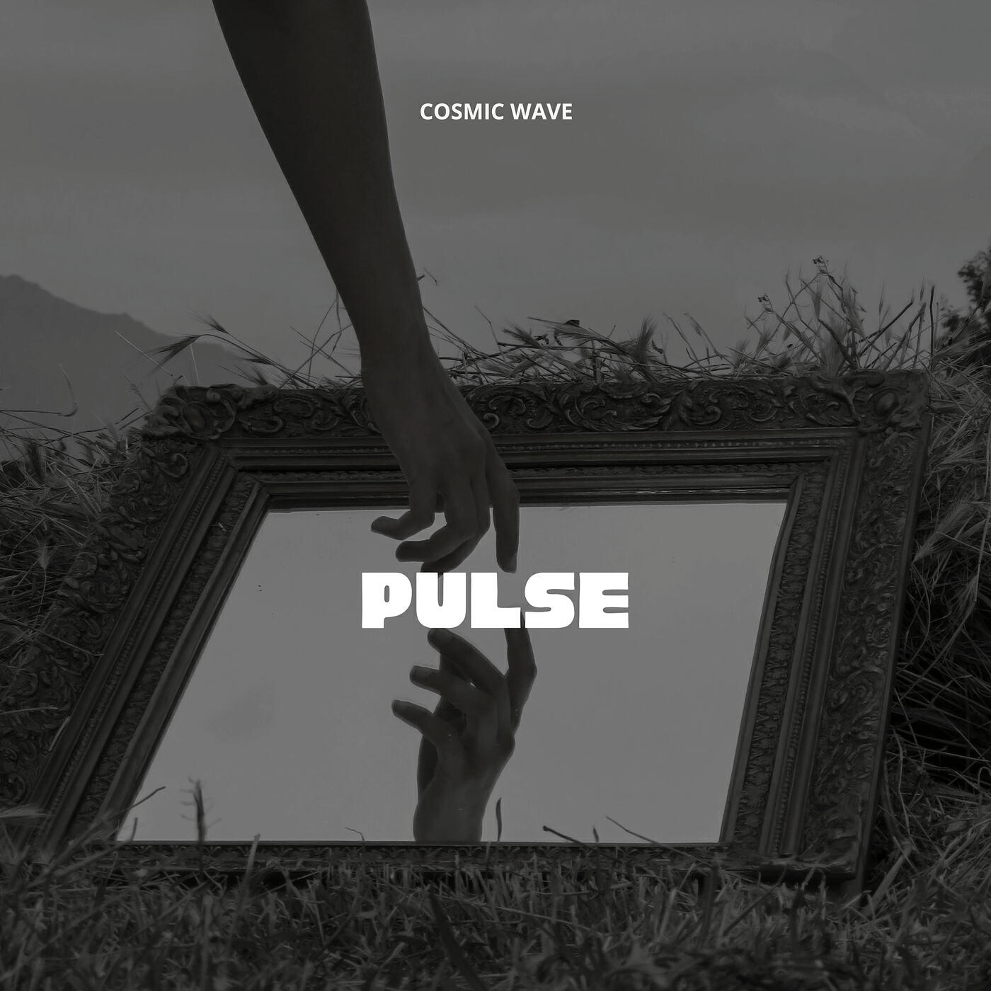 Релиз Pulse