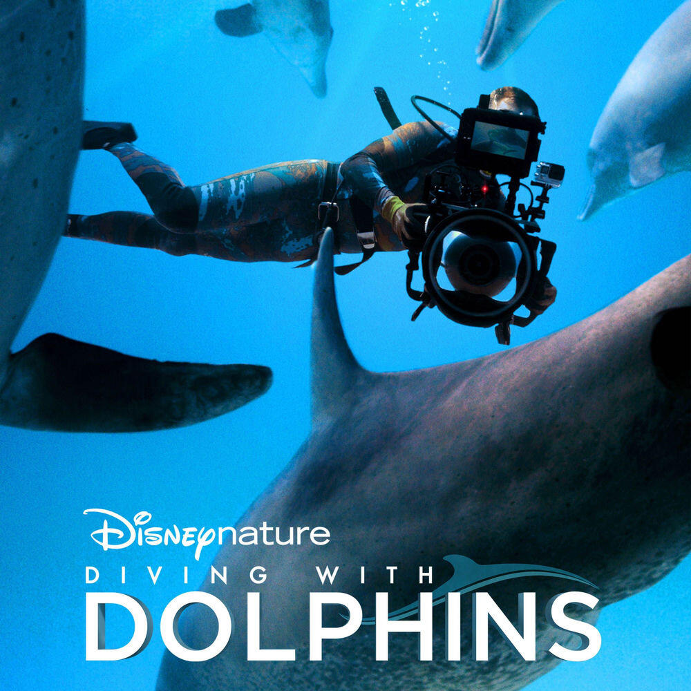 Релиз Diving With Dolphins (Full Soundtrack)