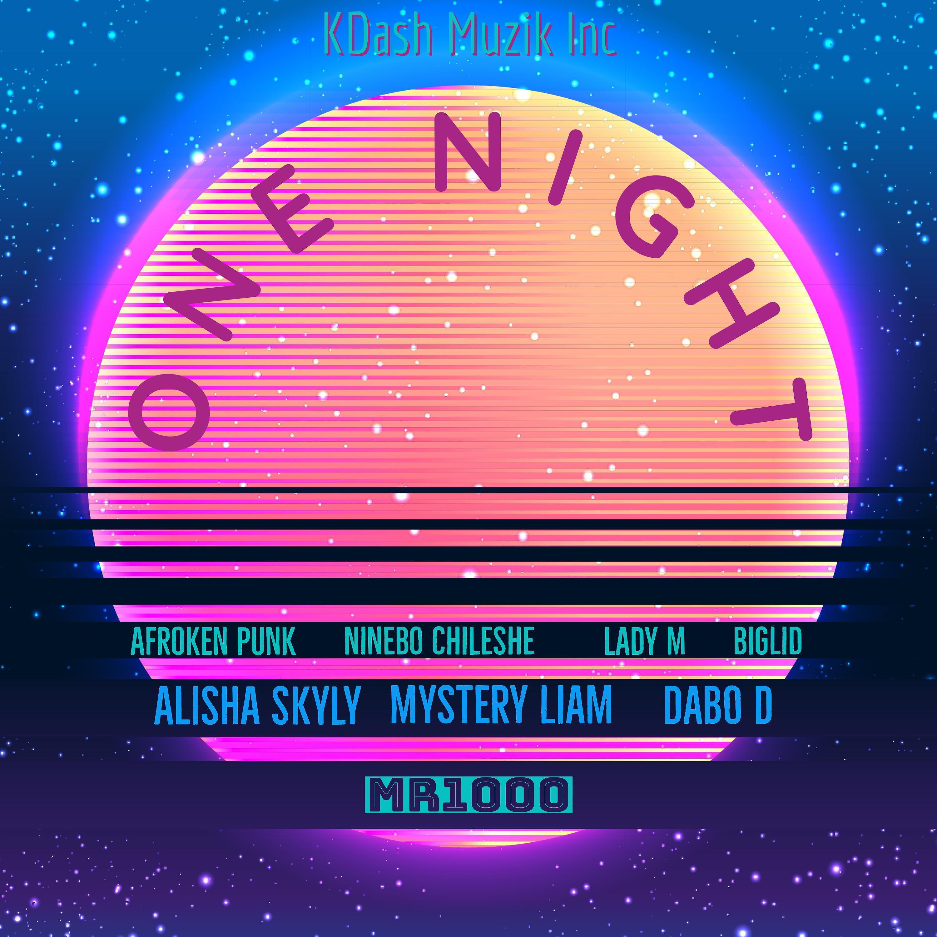 Релиз One Night (feat. Afroken Punk,Ninebo Chileshe,Lady M,Alisha Skyly & Big Lid)