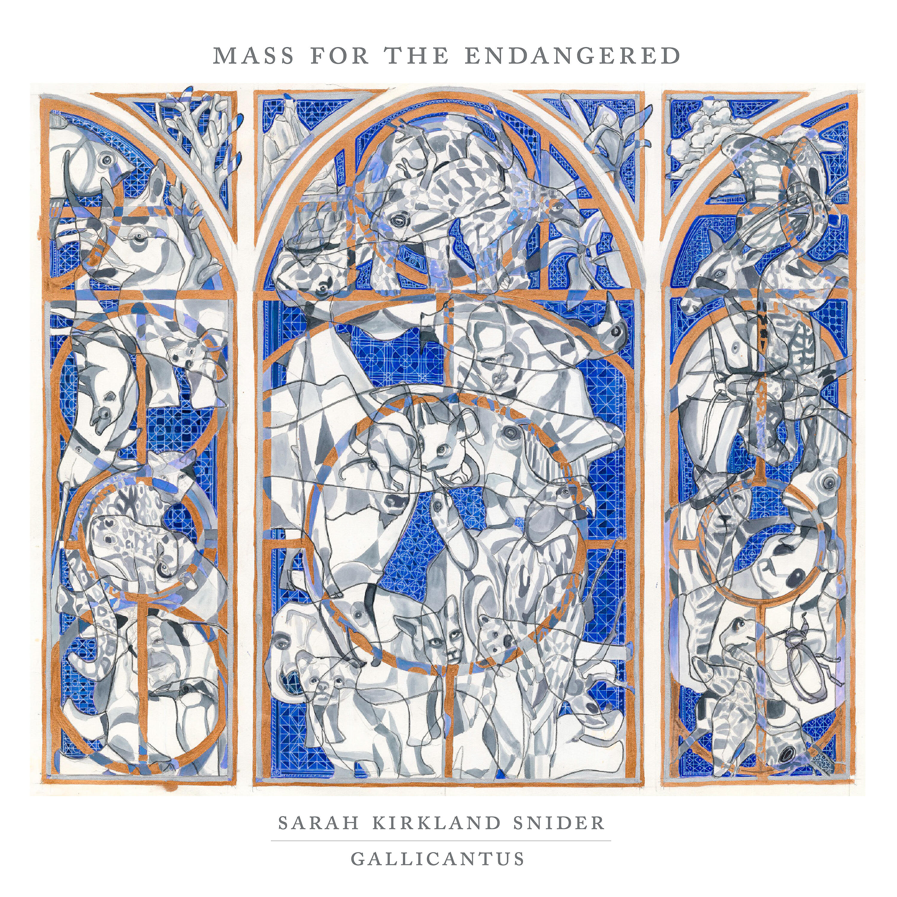 Релиз Sarah Kirkland Snider: Mass for the Endangered
