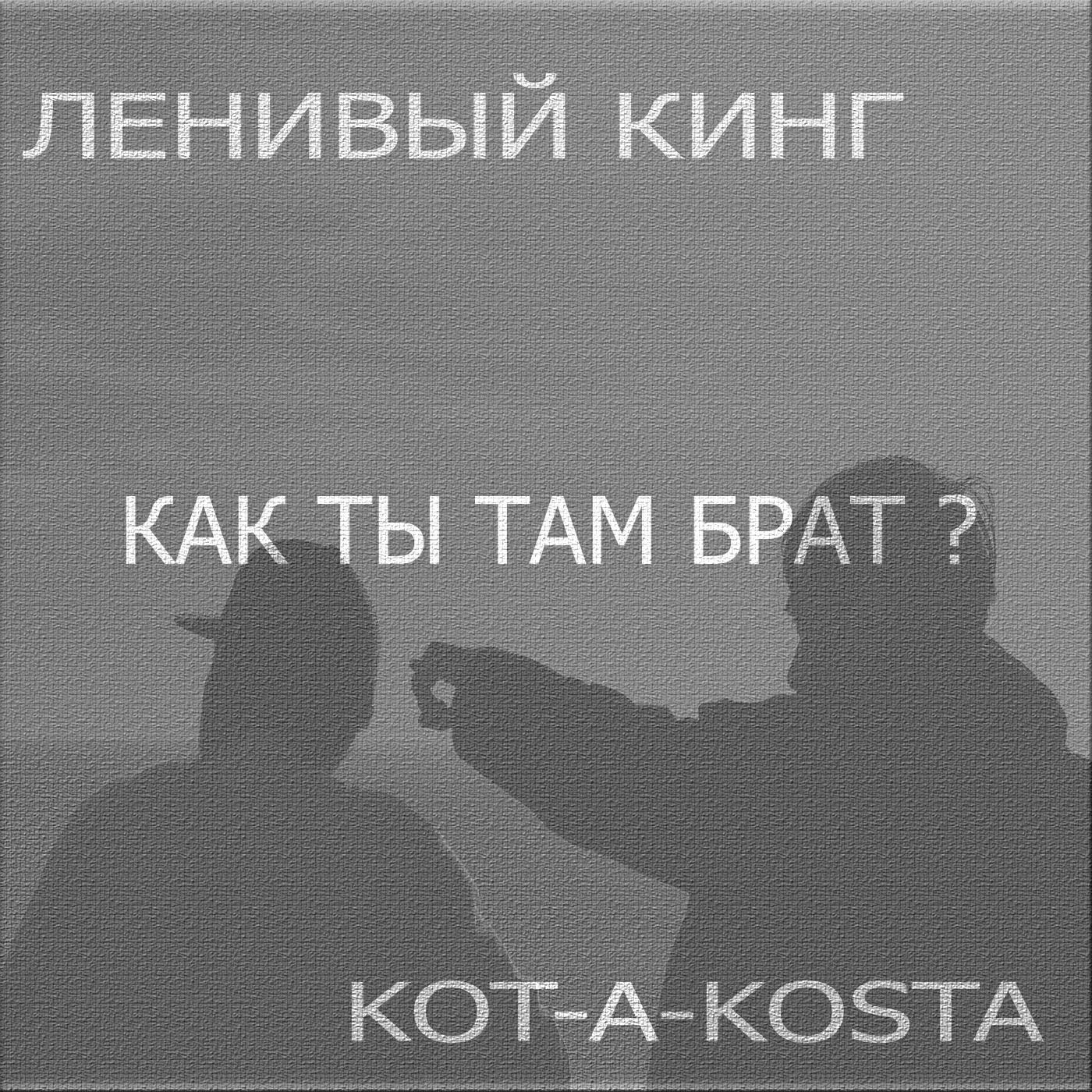 Постер альбома Как ты там брат?