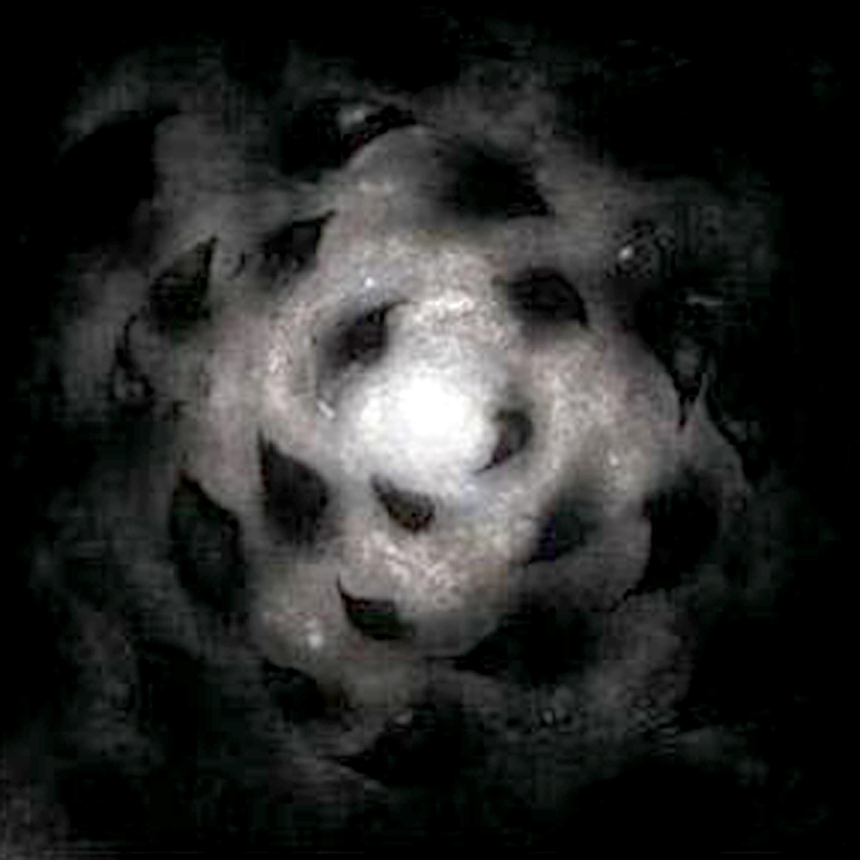 Релиз Before Twilight and After