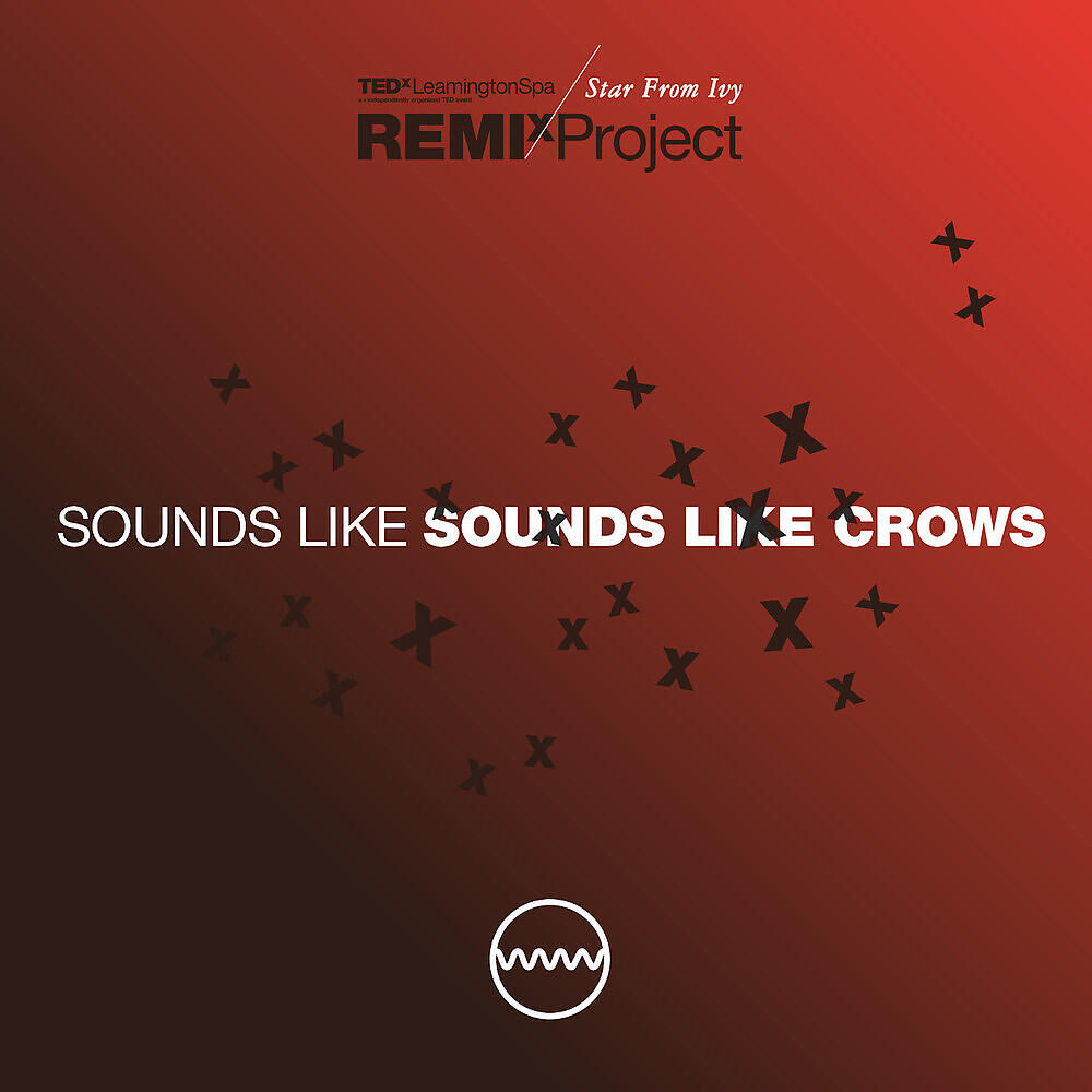 Релиз Sounds Like Sounds Like Crows