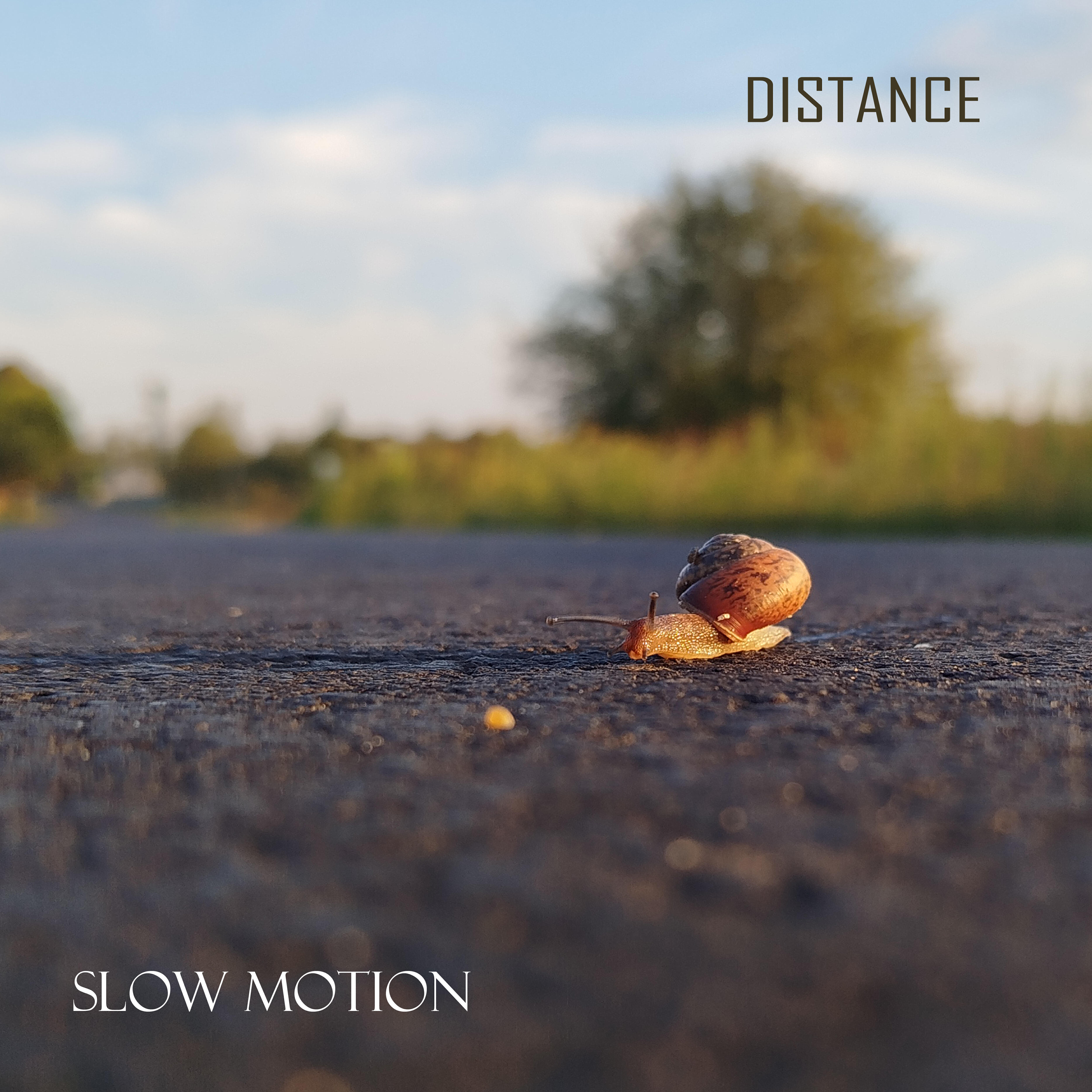 Релиз Slow Motion