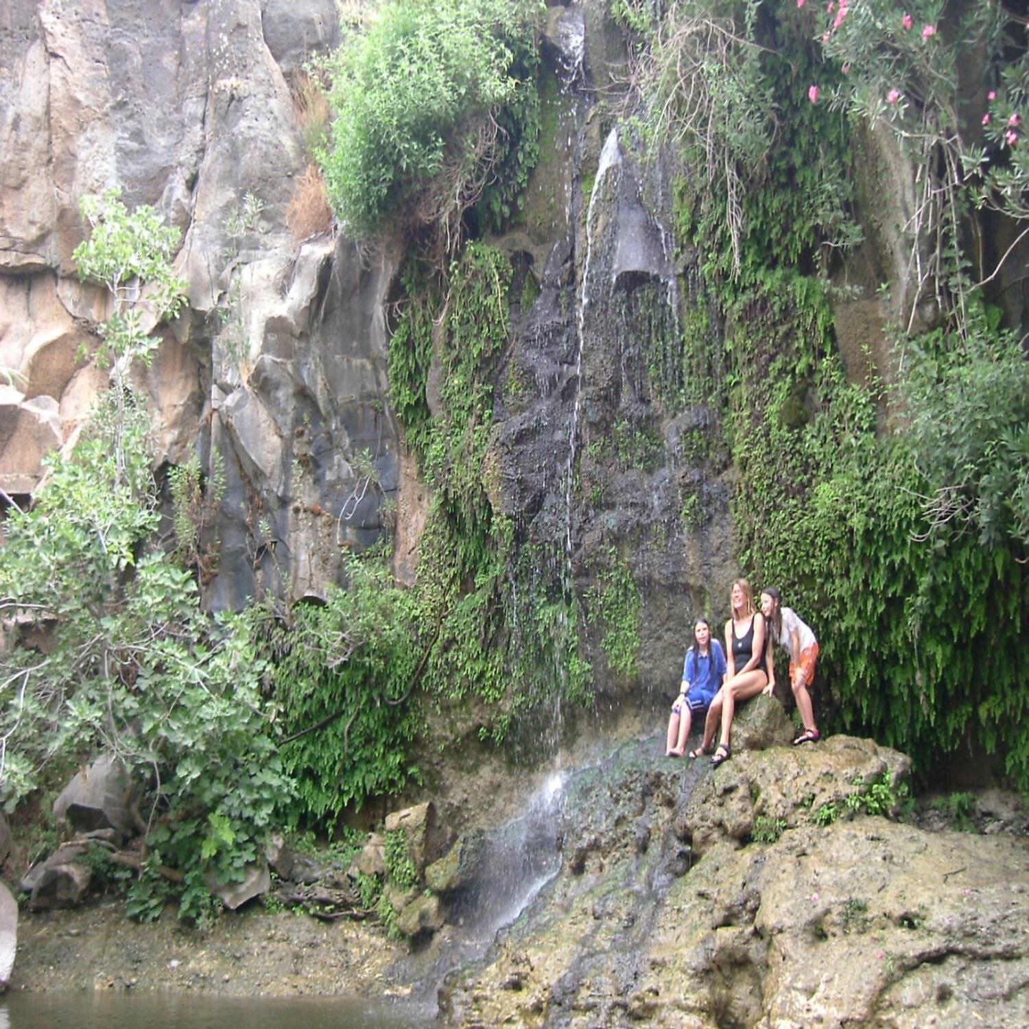 Релиз Jungle Bars