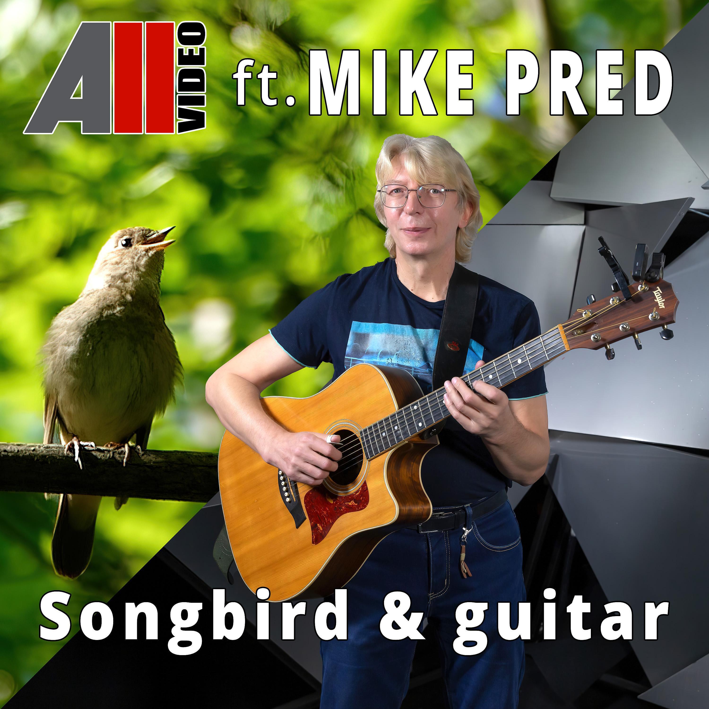 Релиз Songbird and guitar